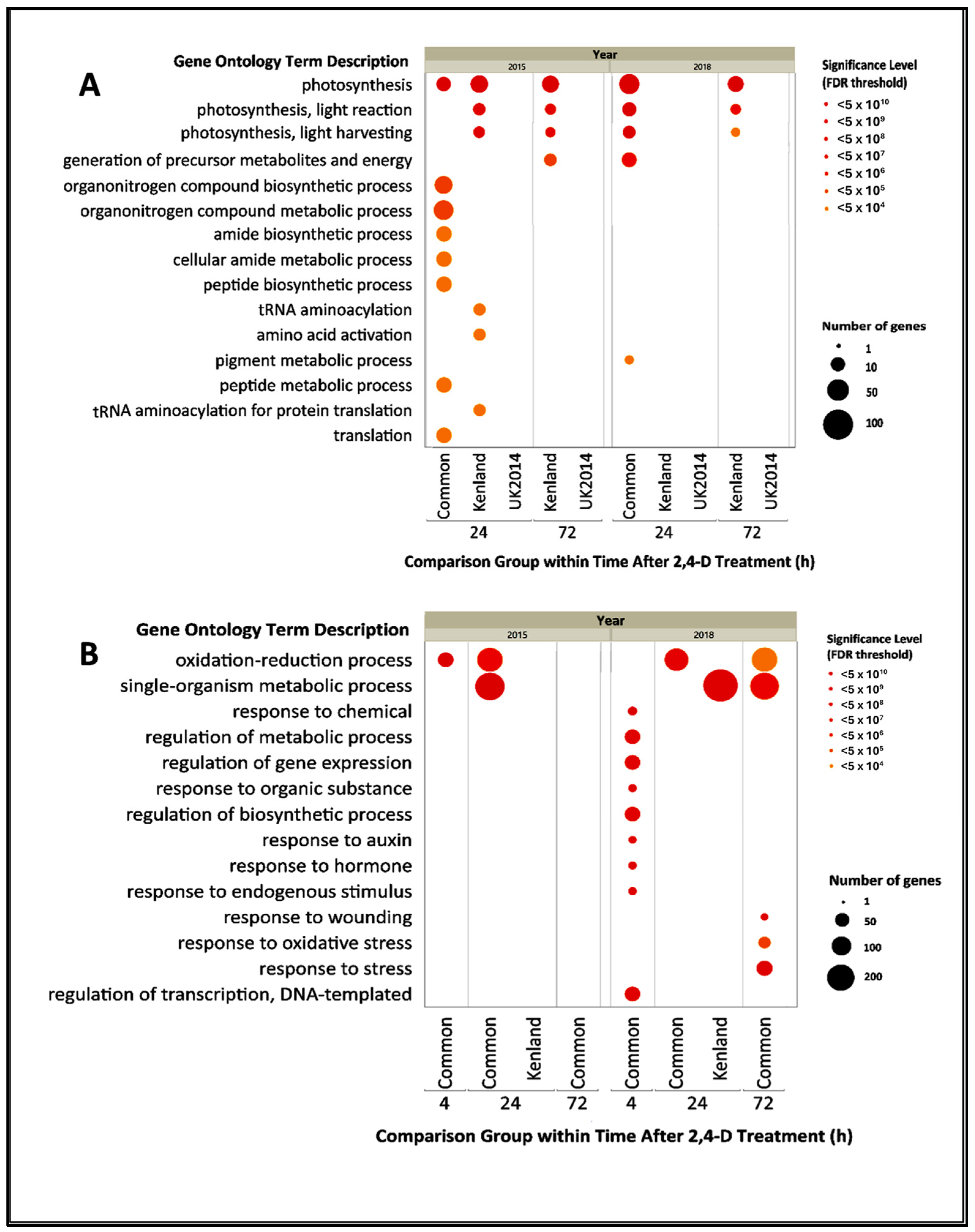 Agronomy 14 01198 g003