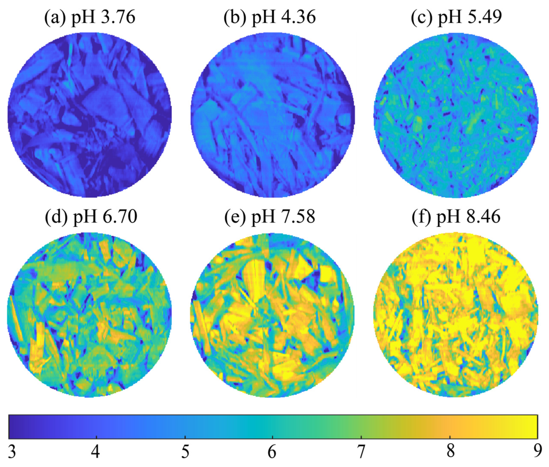 Agronomy 14 01204 g010