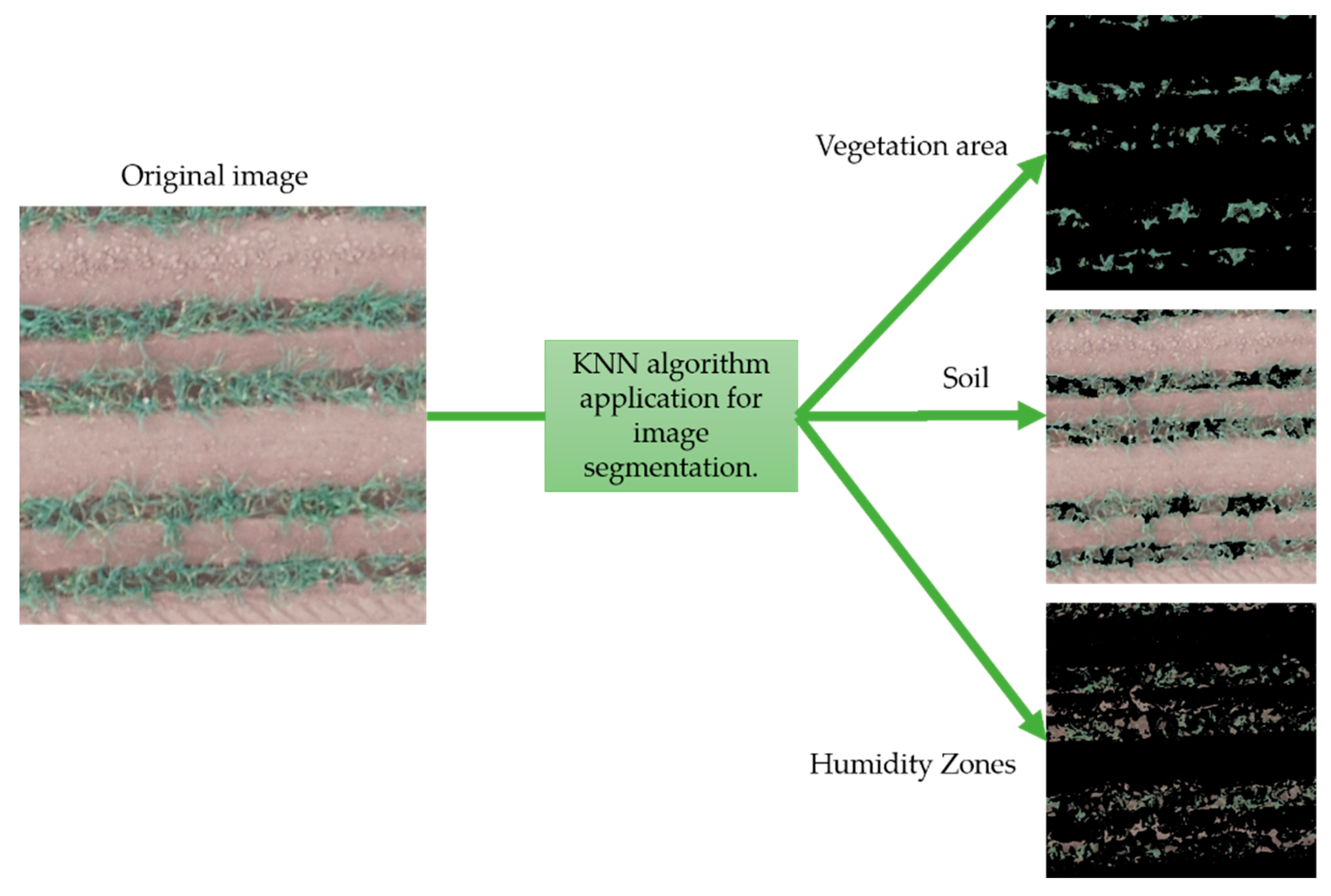 Agronomy 14 01206 g003