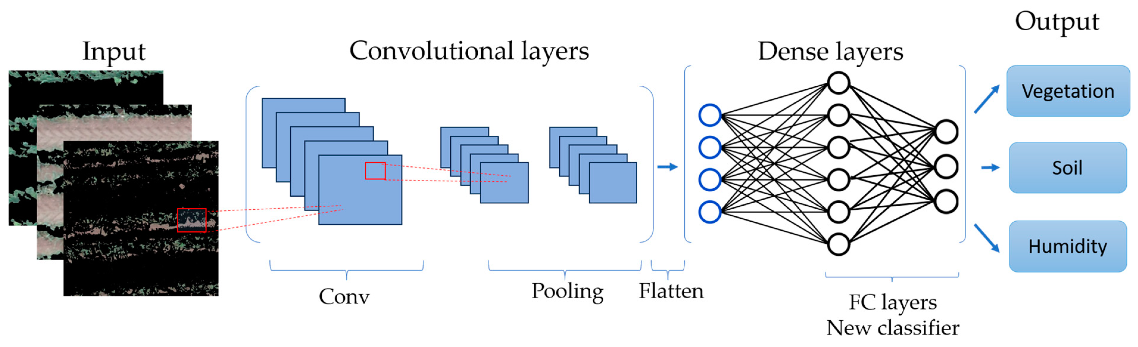 Agronomy 14 01206 g004