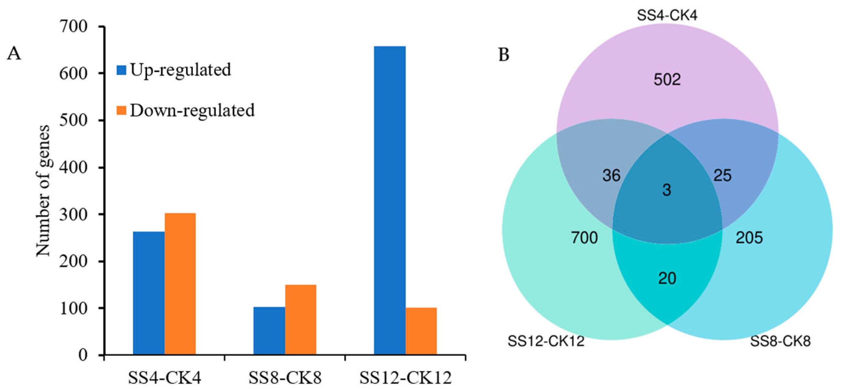 Transcriptomic Analysis of Sodium-Silicate-Induced
