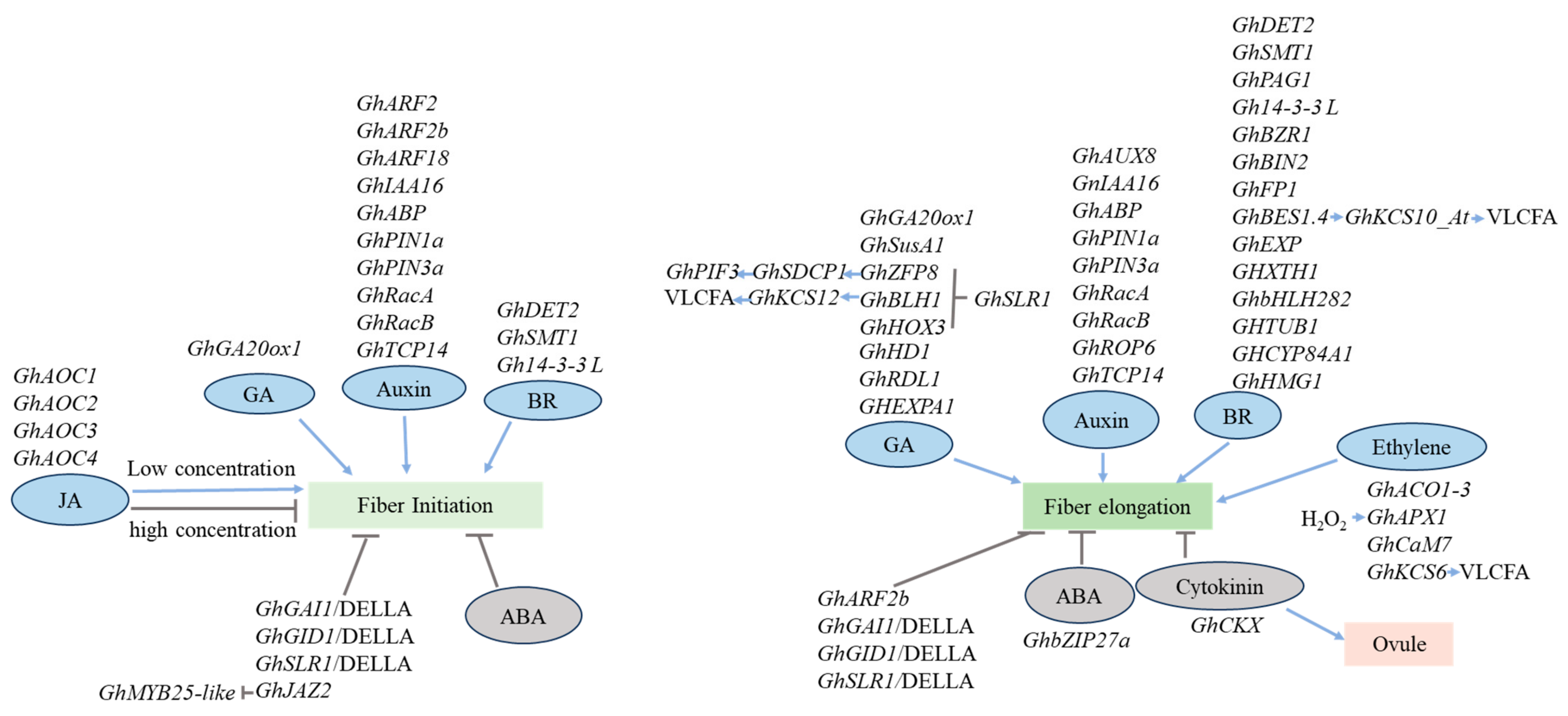 Agronomy 14 01208 g003