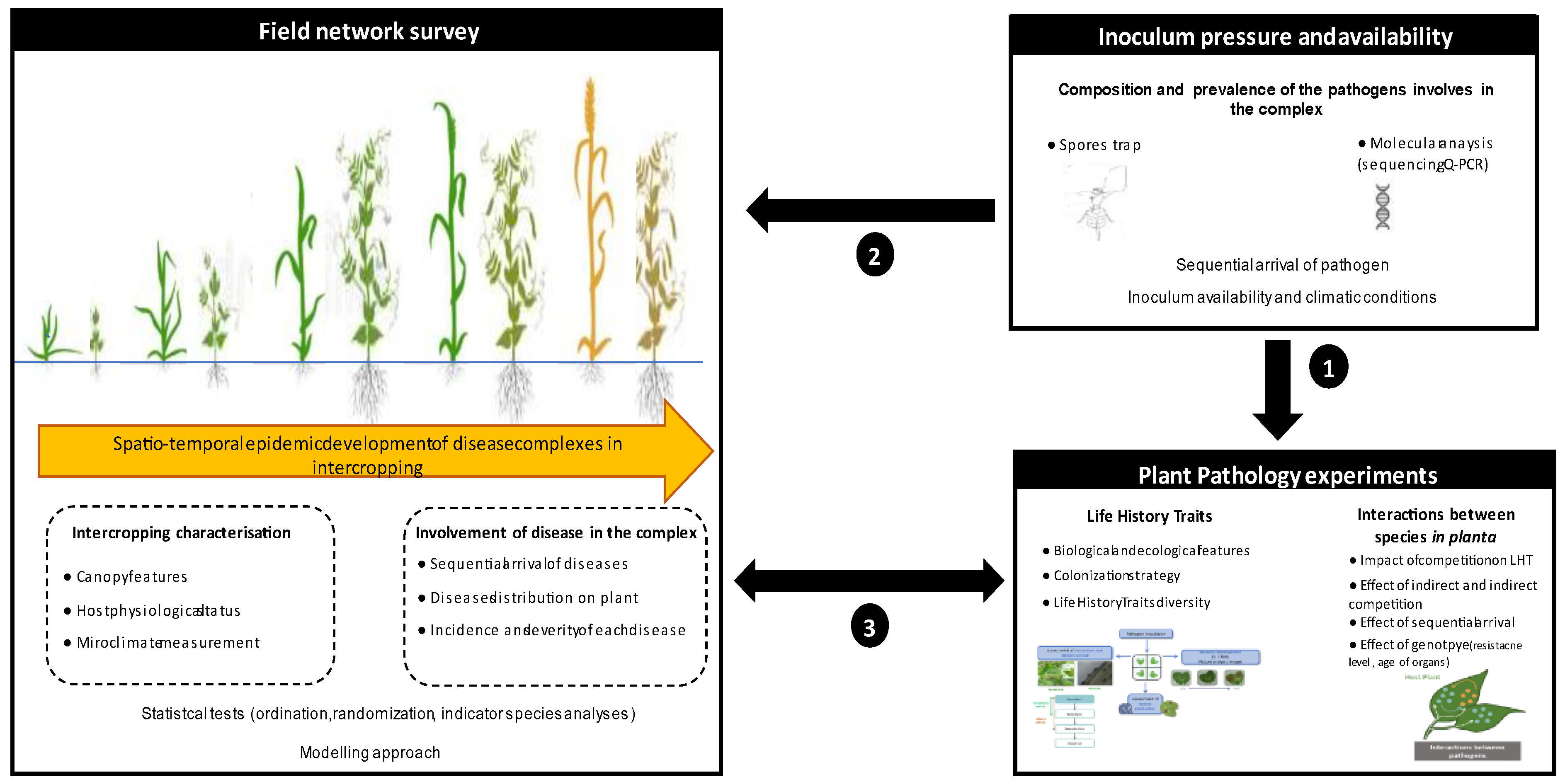 Agronomy 14 01210 g002