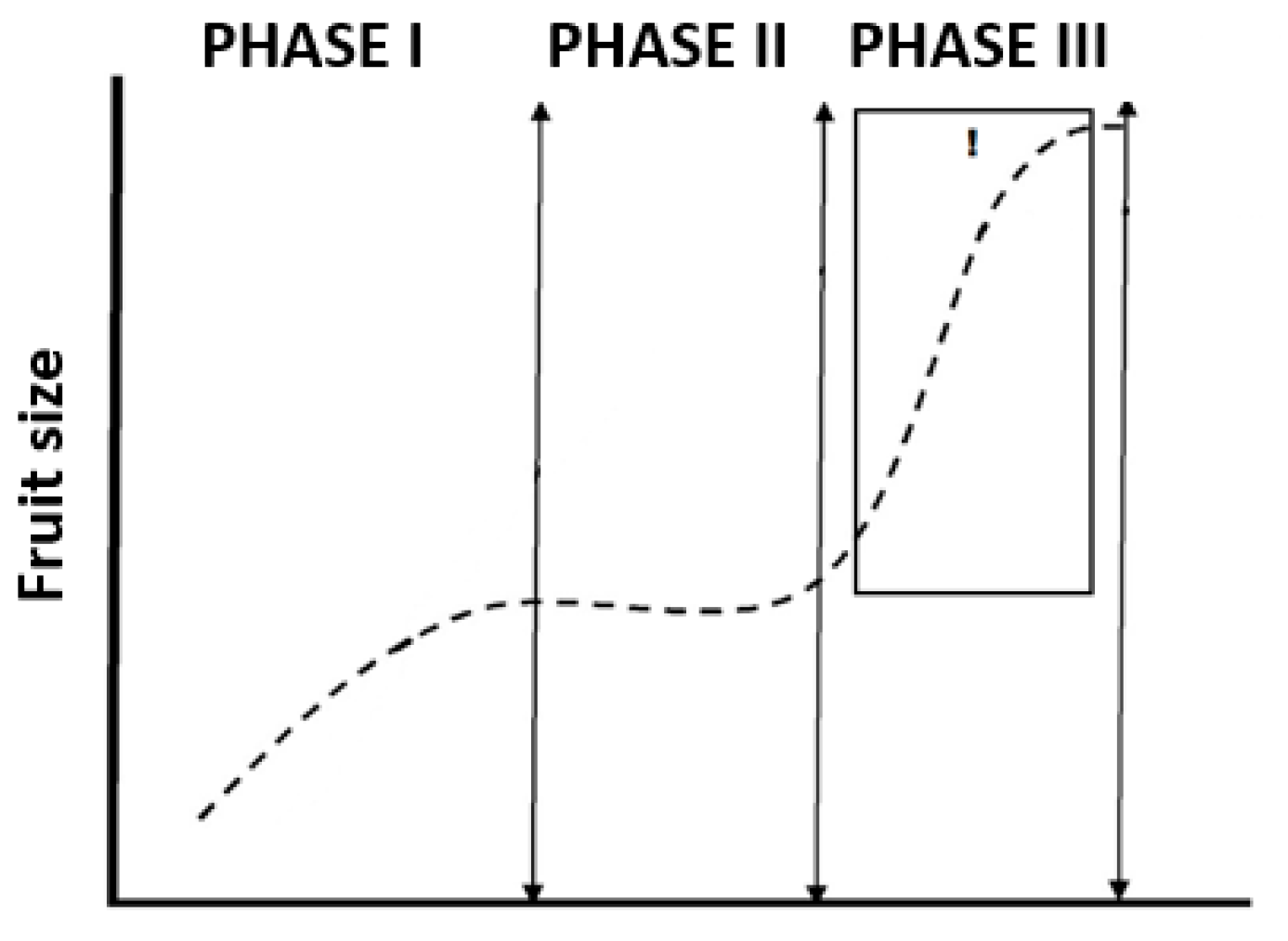 Agronomy 14 01219 g001