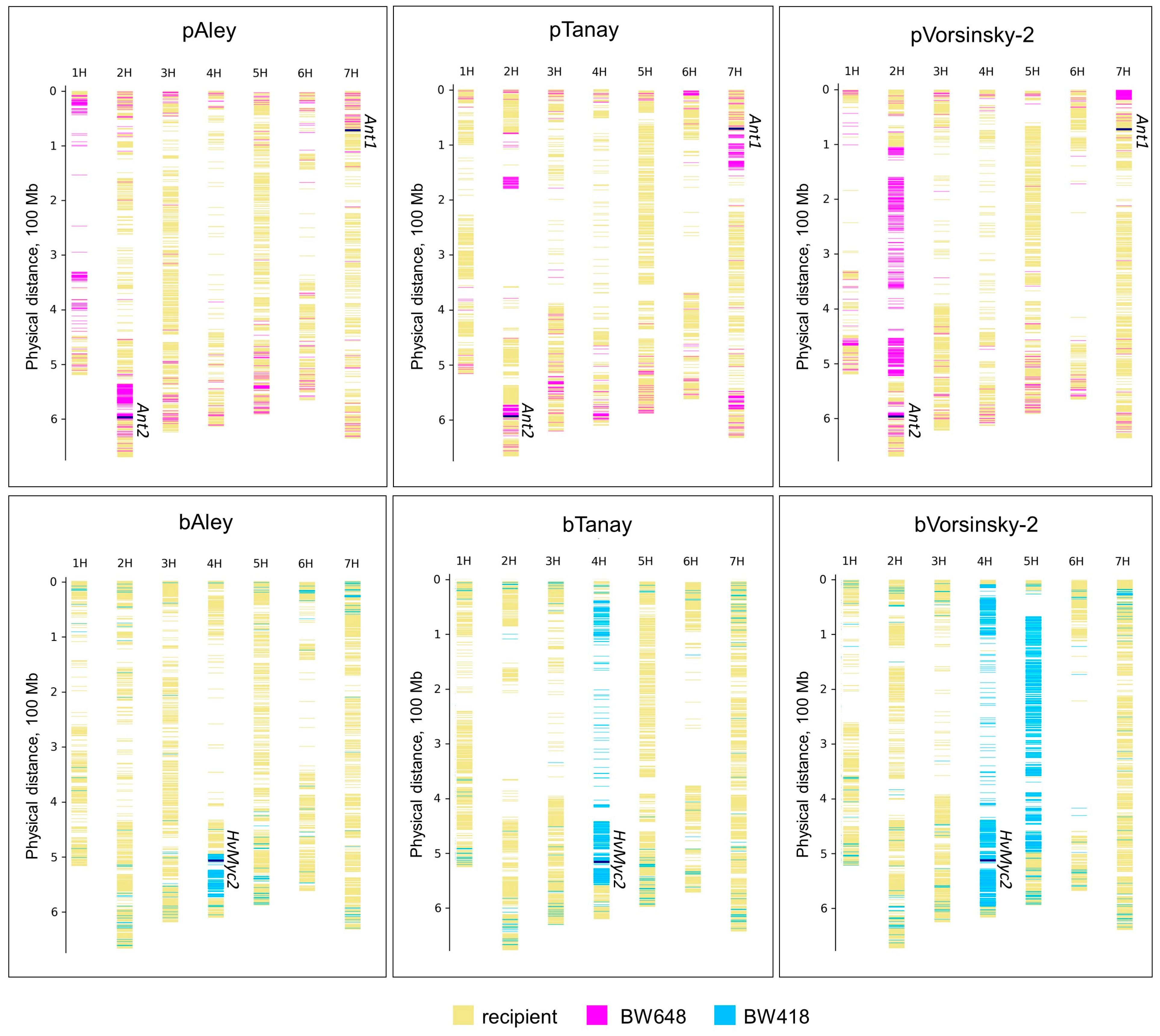 Agronomy 14 01231 g003
