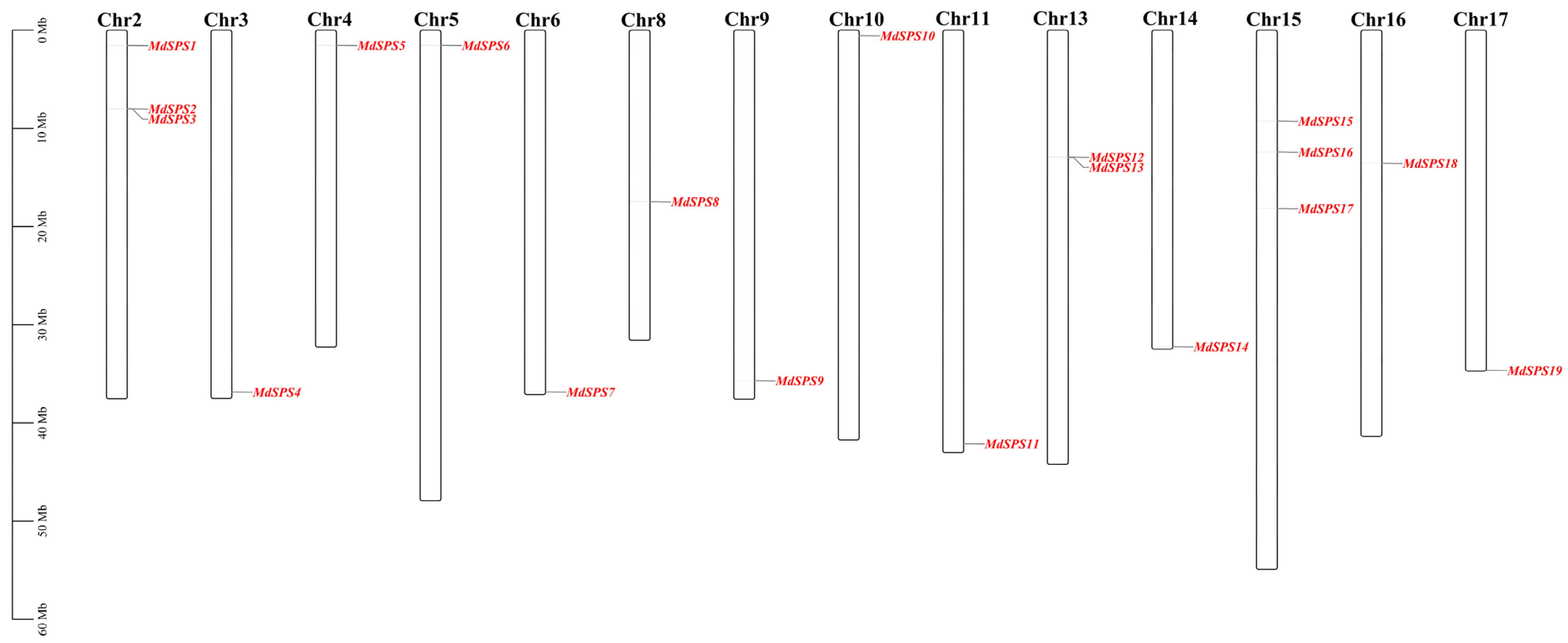 Agronomy 14 01237 g001 Agronomy 14 01237 g001