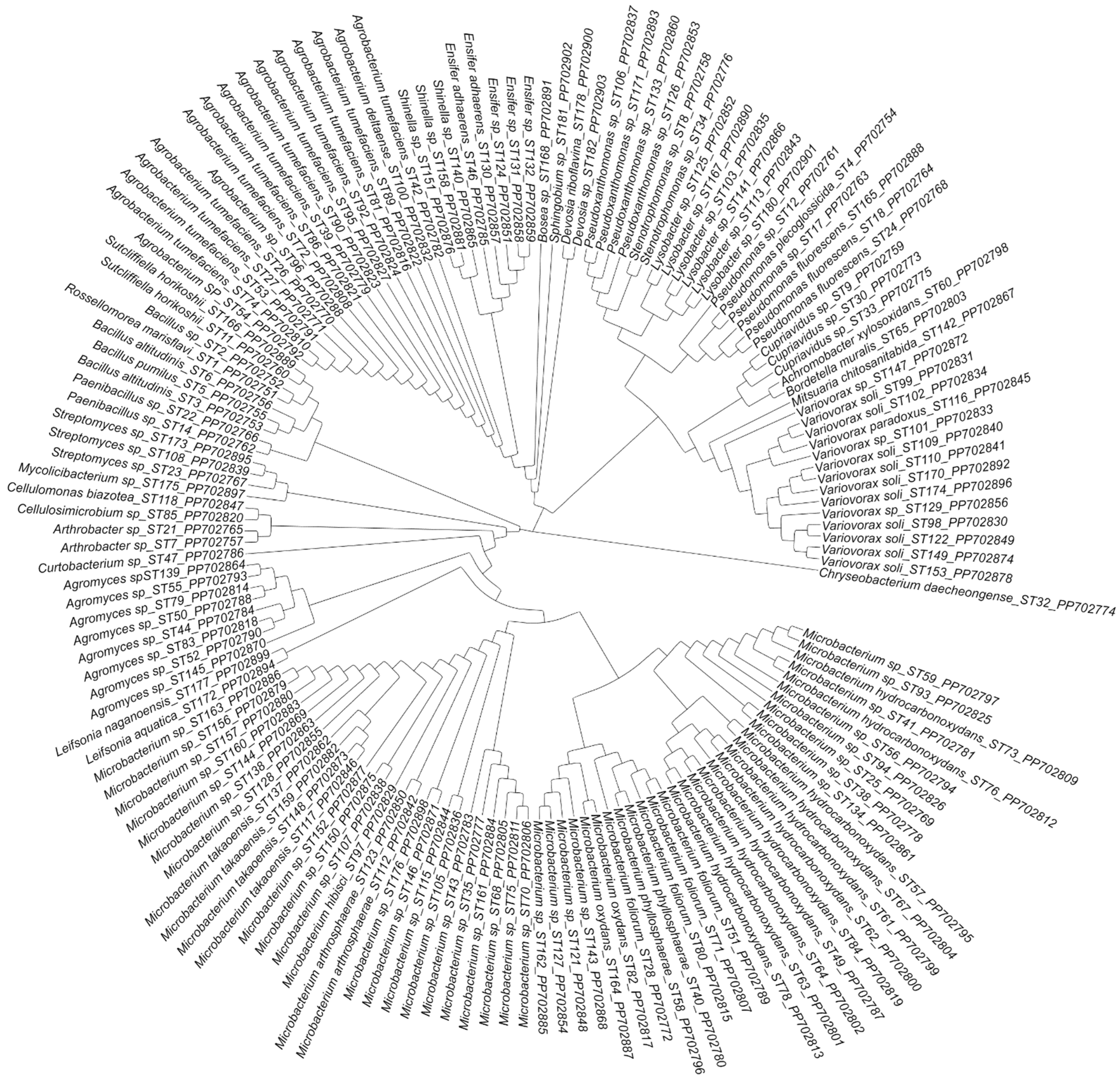 Agronomy 14 01241 g002