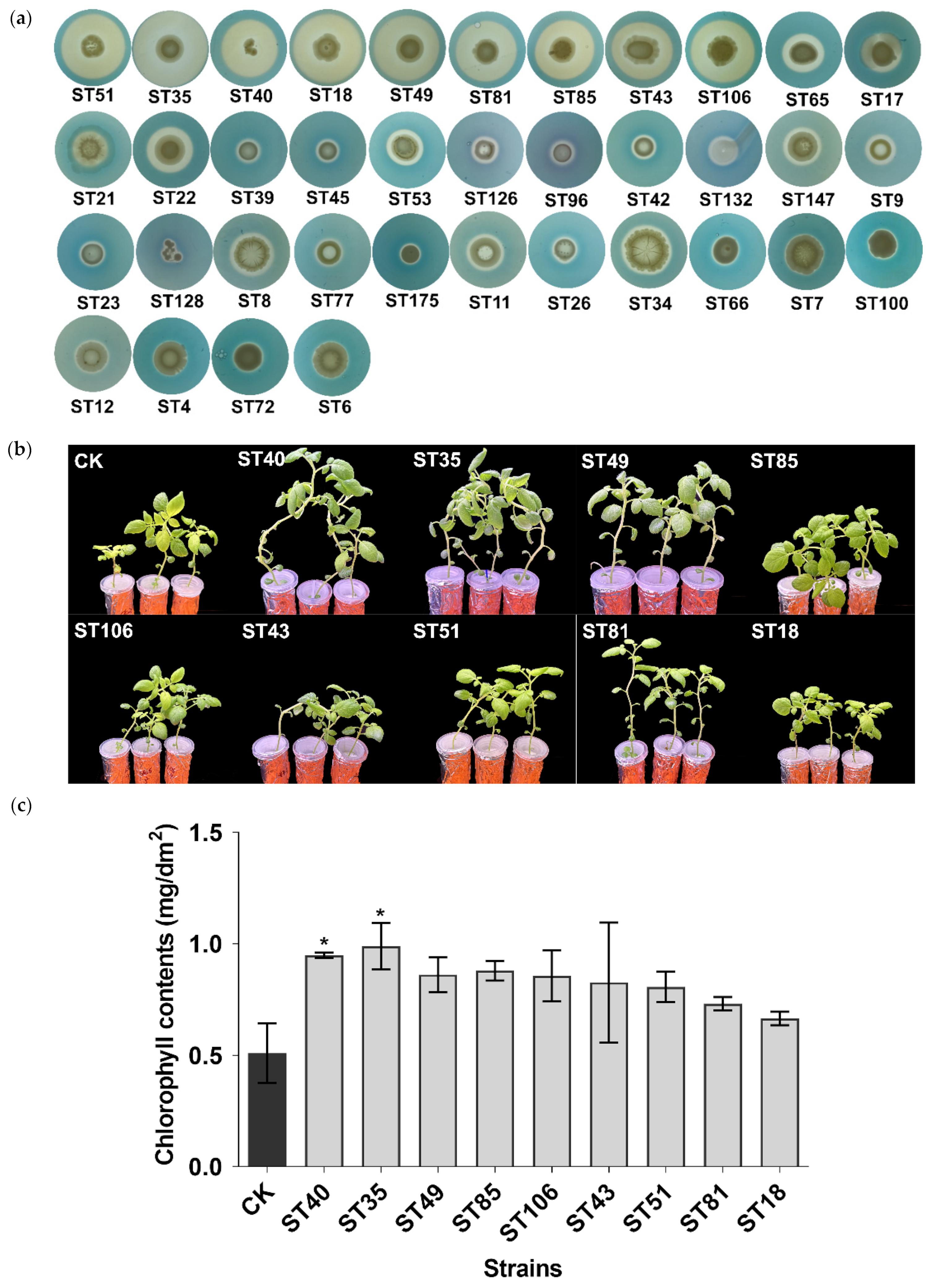 Agronomy 14 01241 g004
