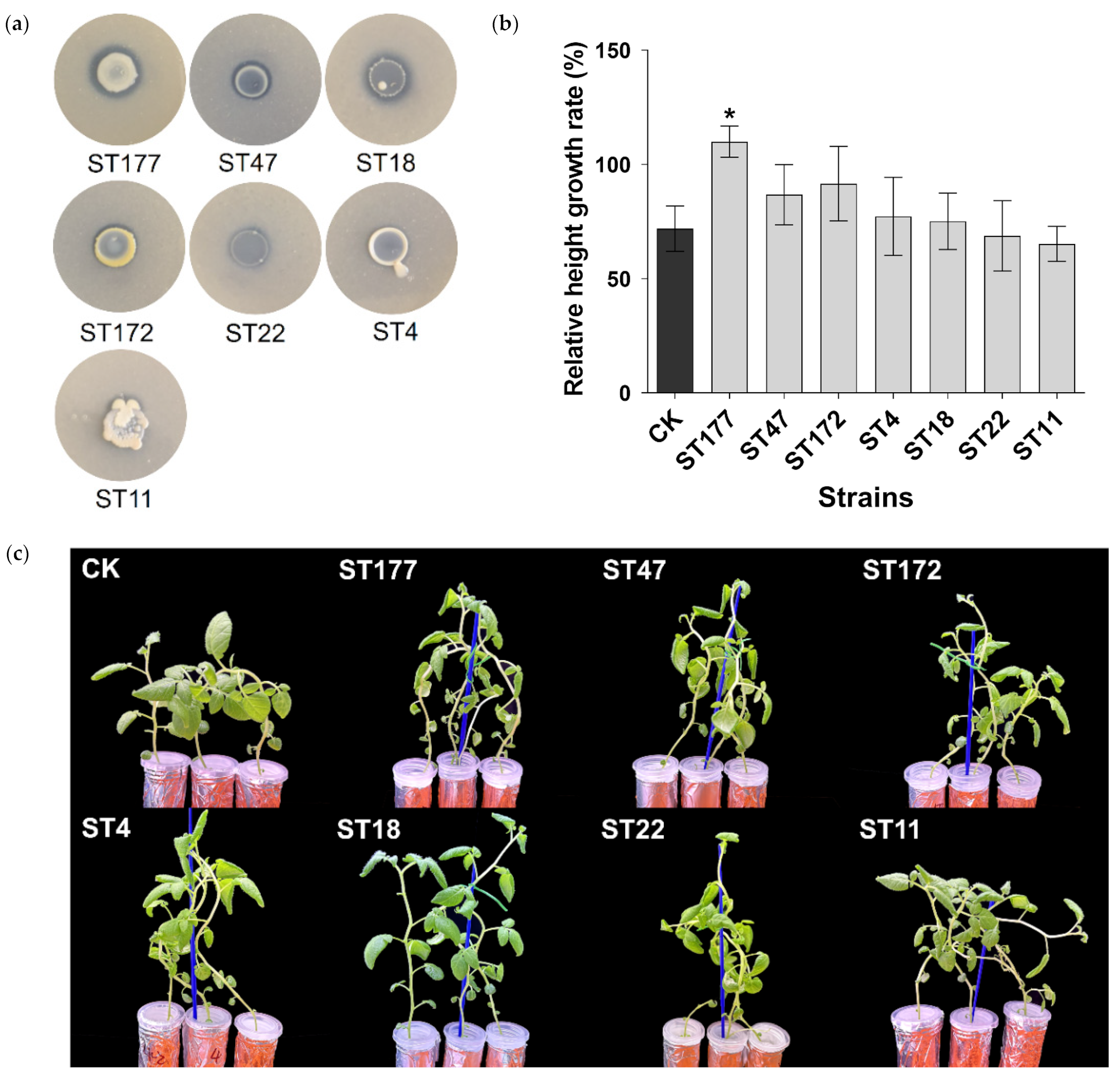Agronomy 14 01241 g005