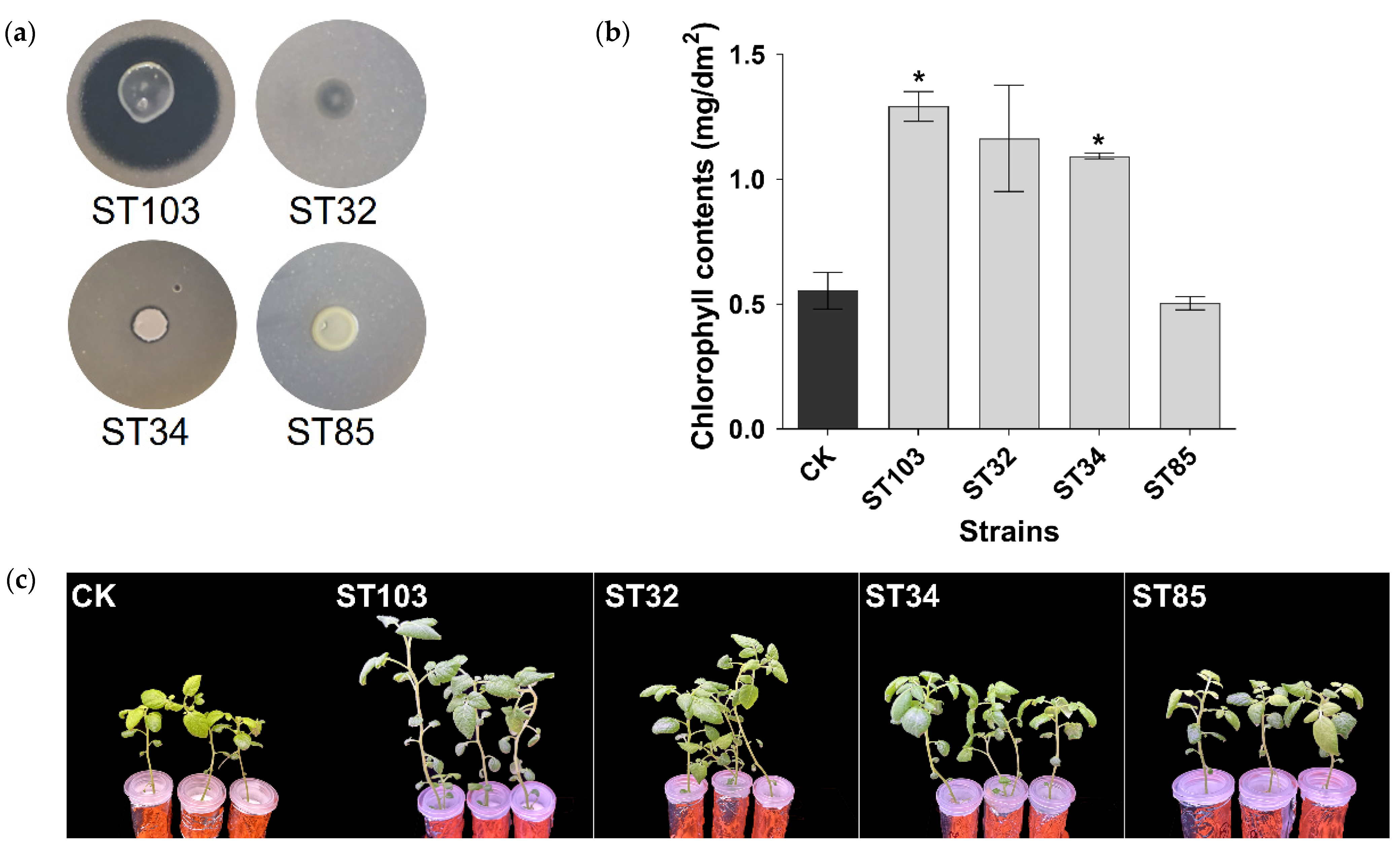 Agronomy 14 01241 g006