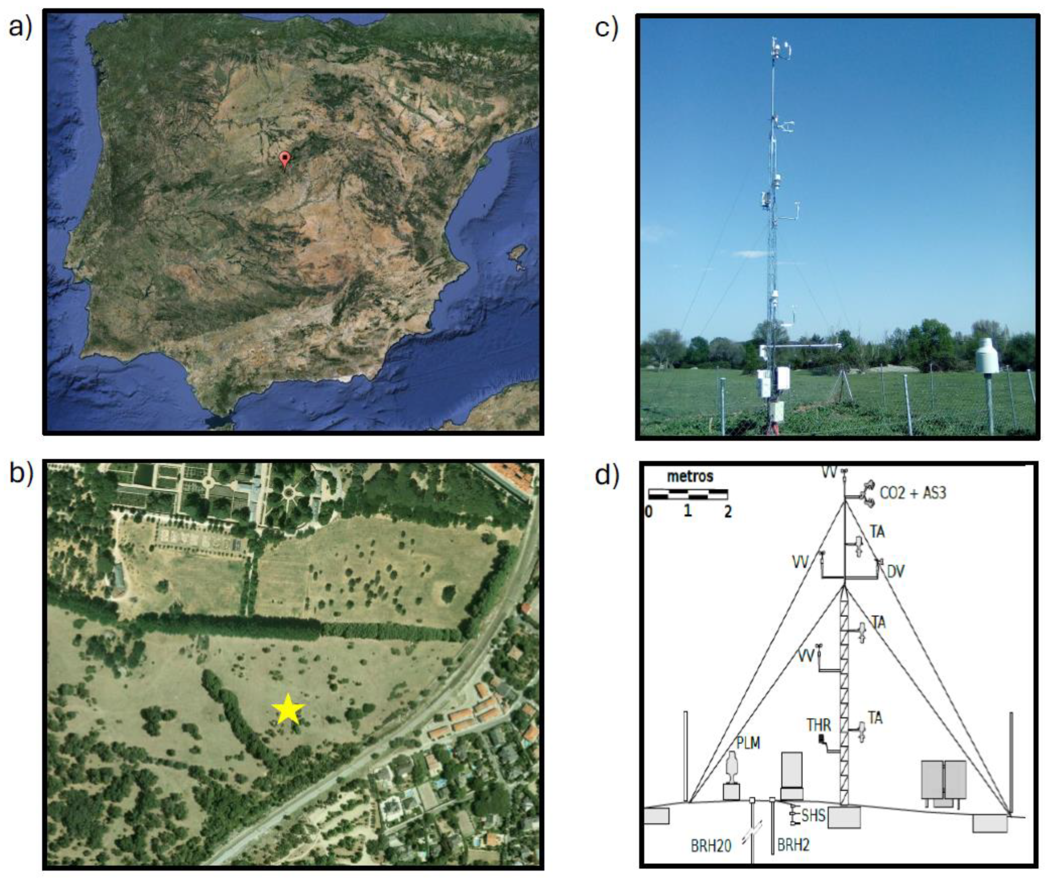 Agronomy 14 01243 g001