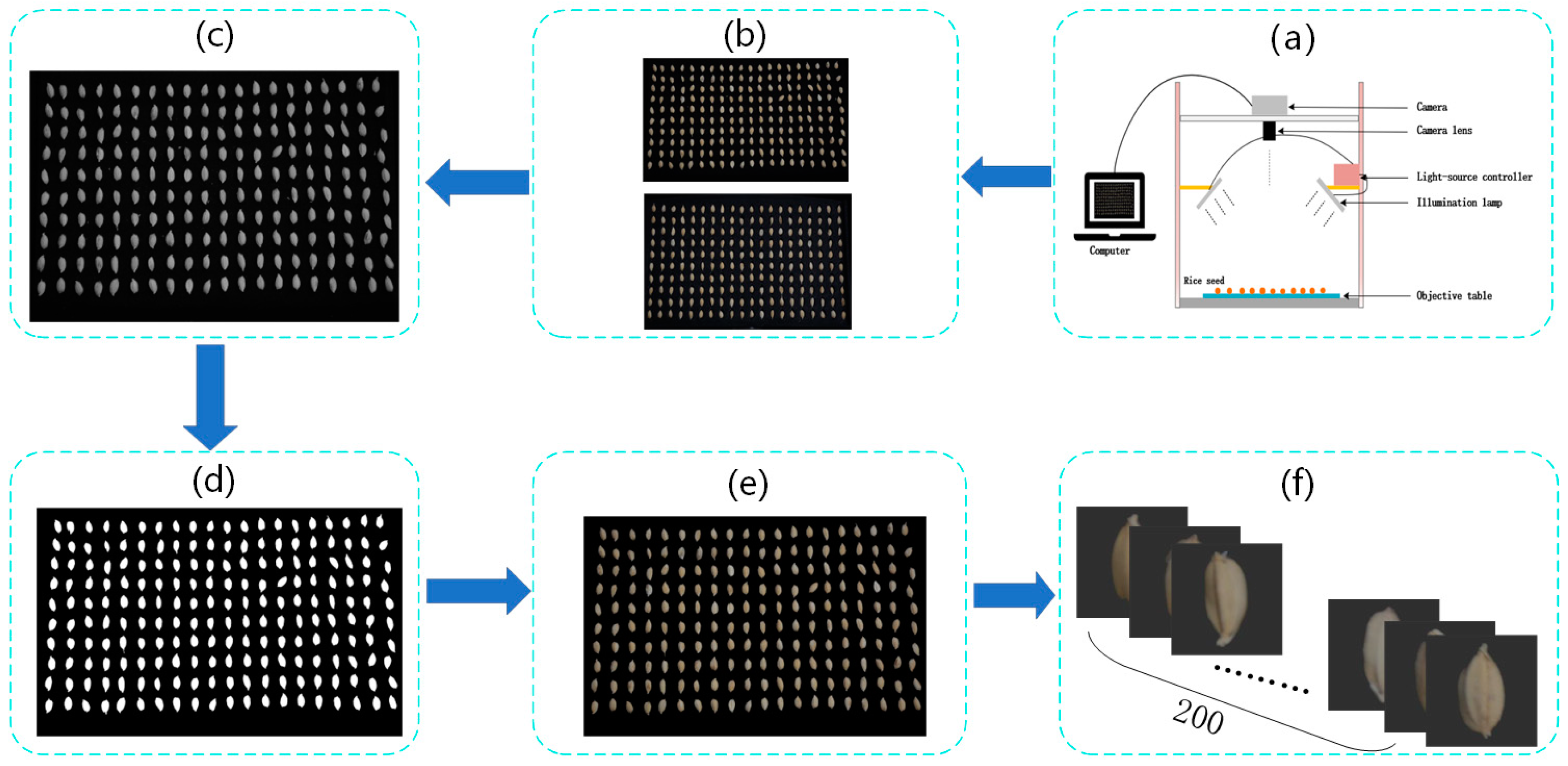 Agronomy 14 01244 g002