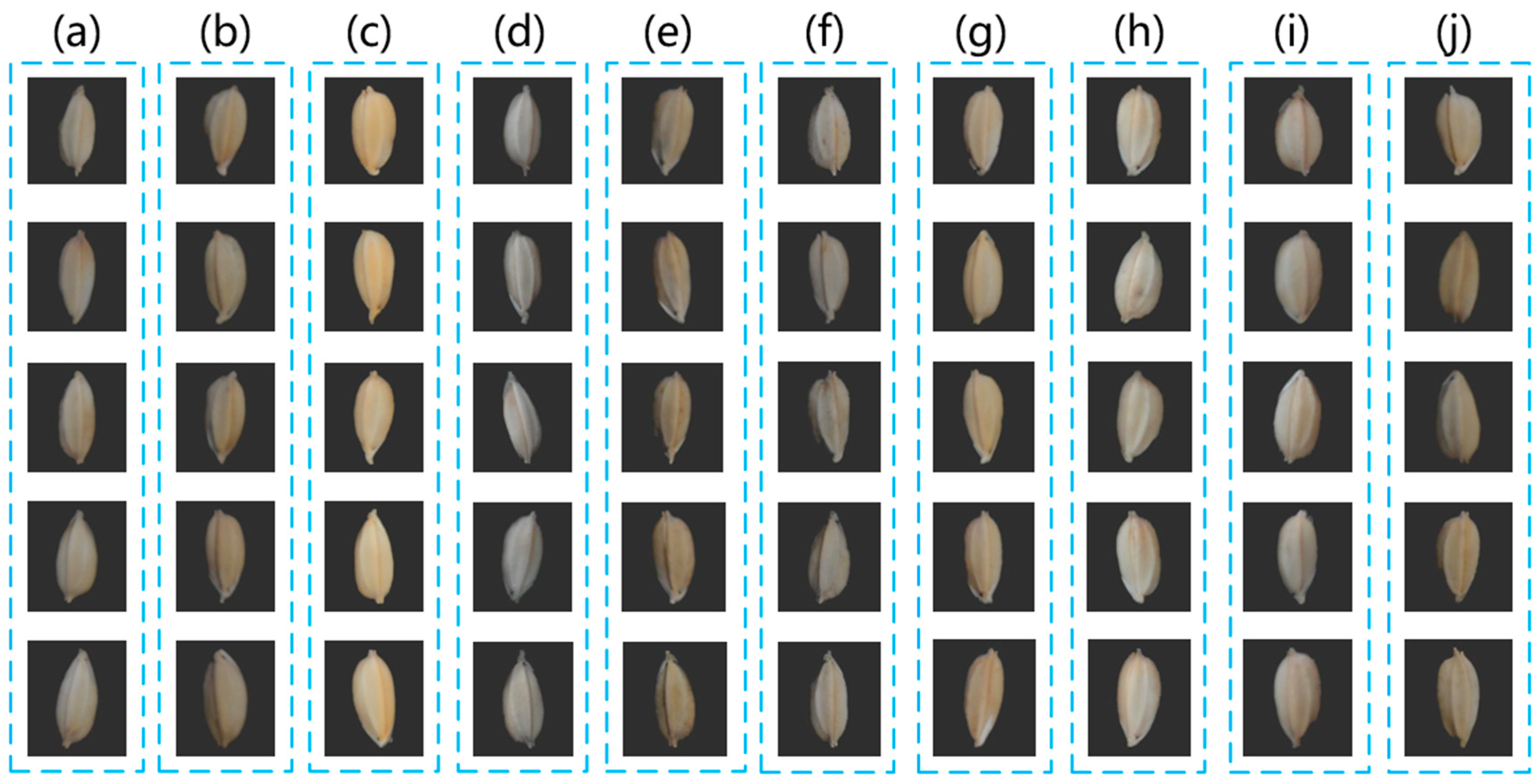 Agronomy 14 01244 g003