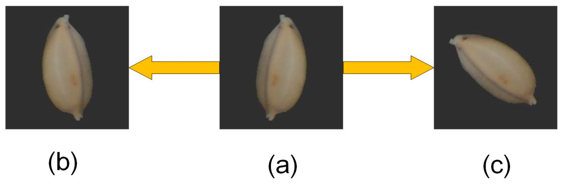 Agronomy 14 01244 g004