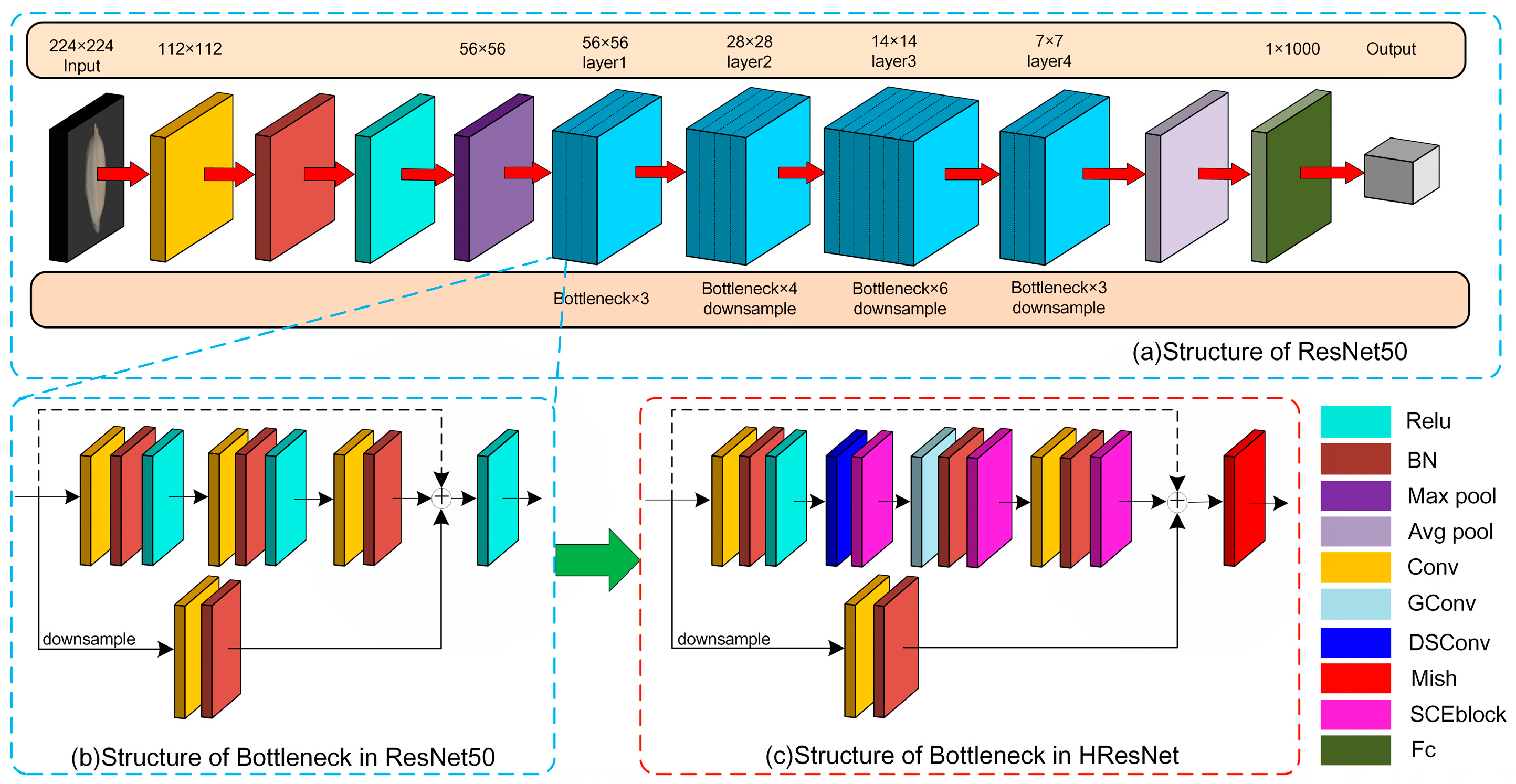 Agronomy 14 01244 g005