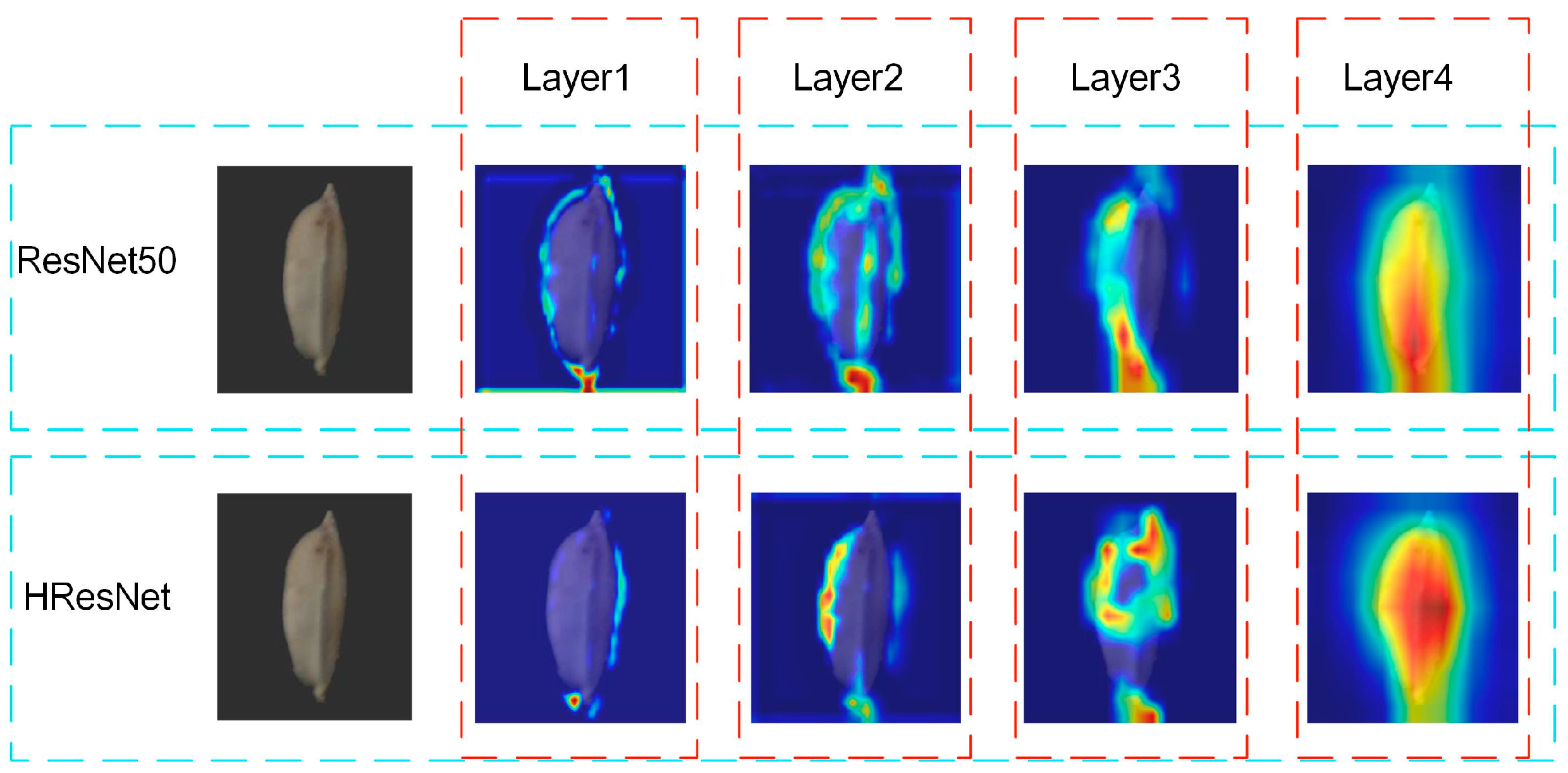 Agronomy 14 01244 g013