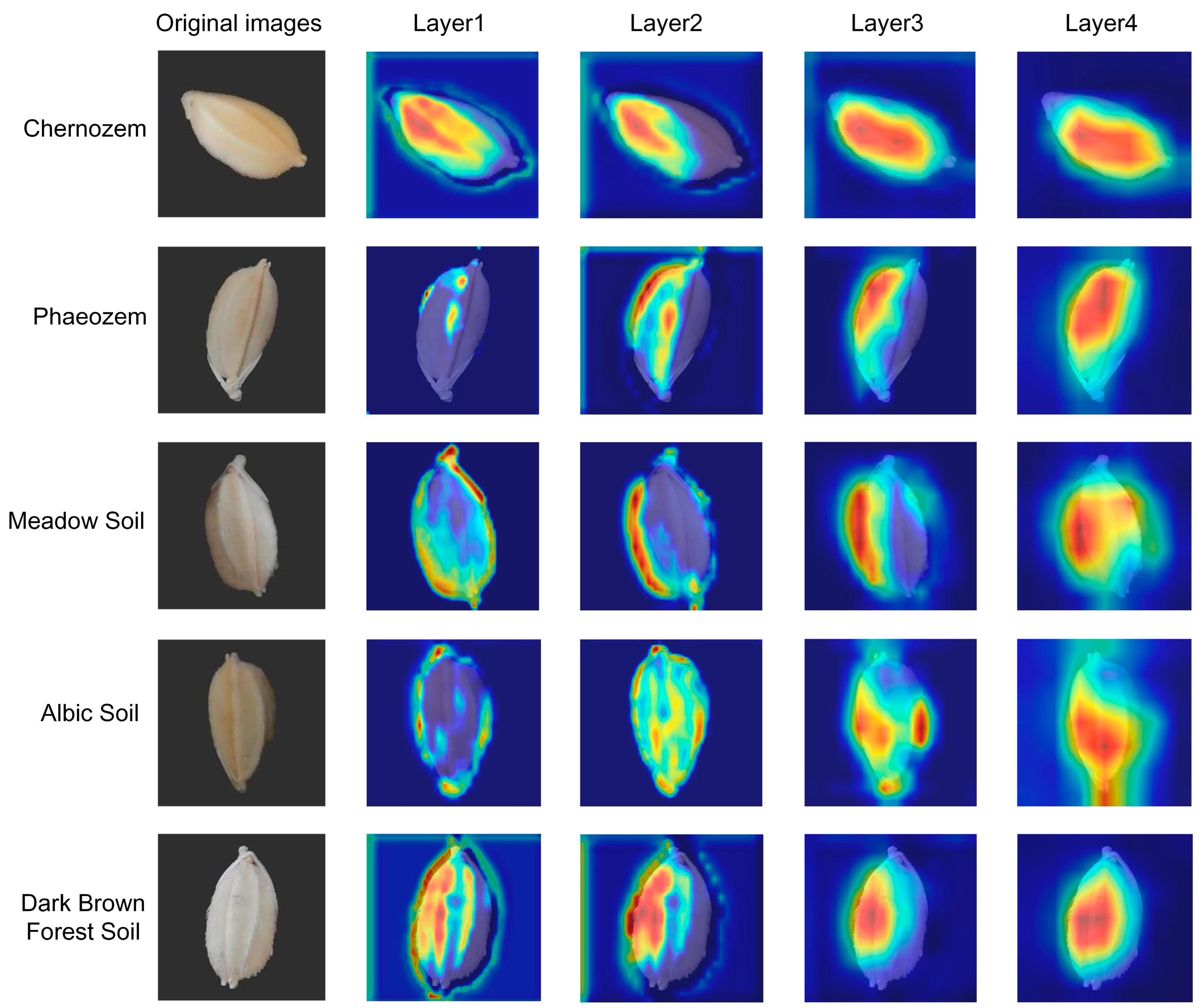 Agronomy 14 01244 g016