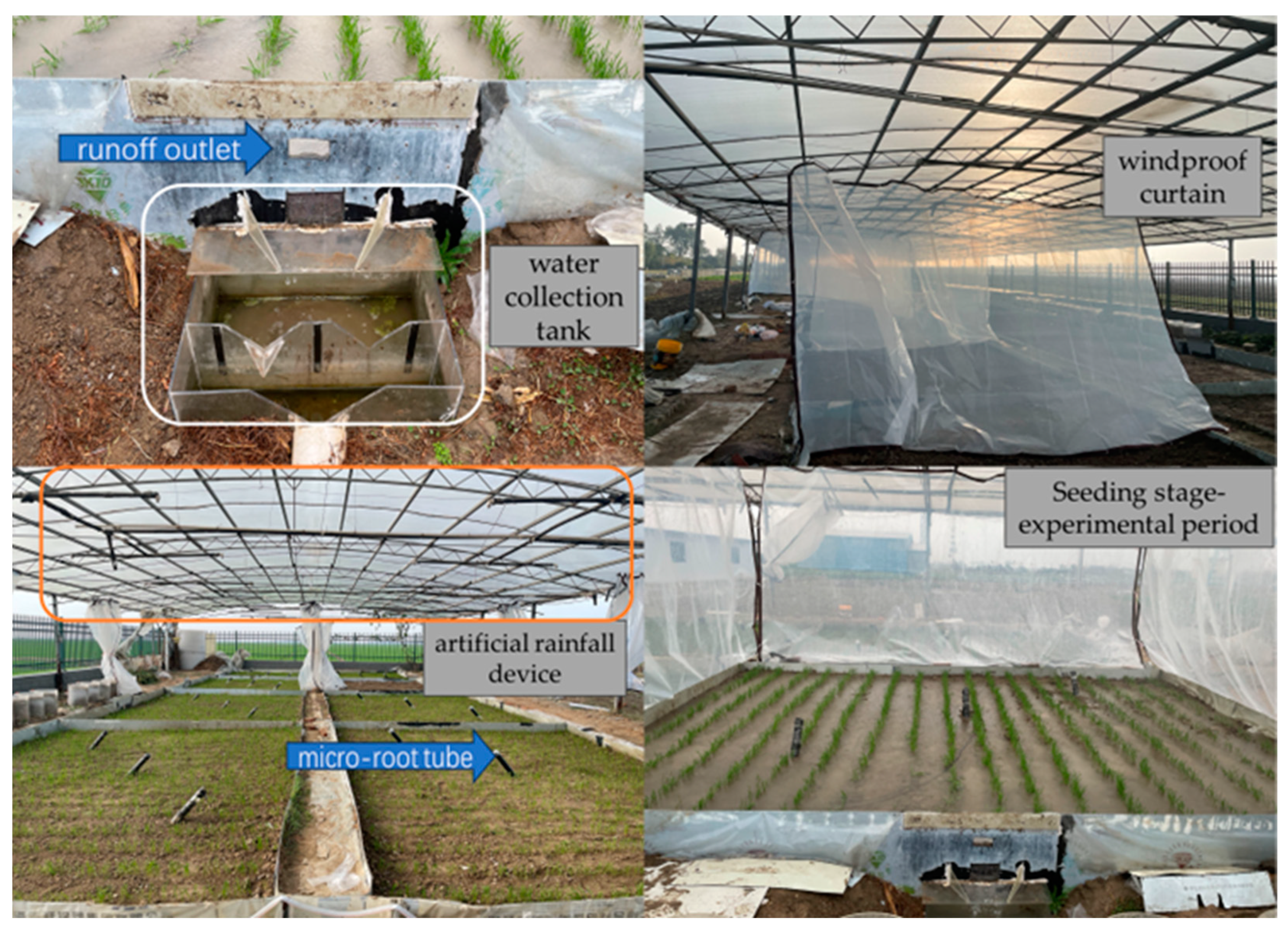 Agronomy 14 01247 g002