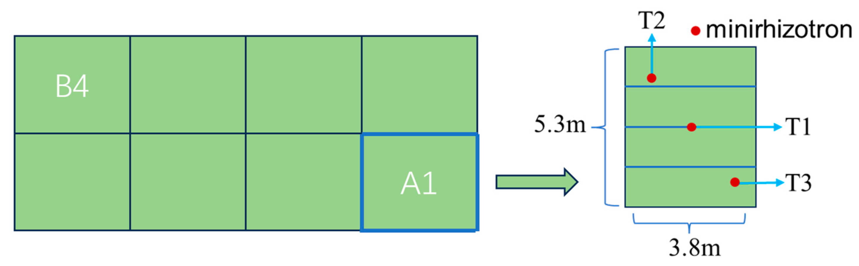 Agronomy 14 01247 g003