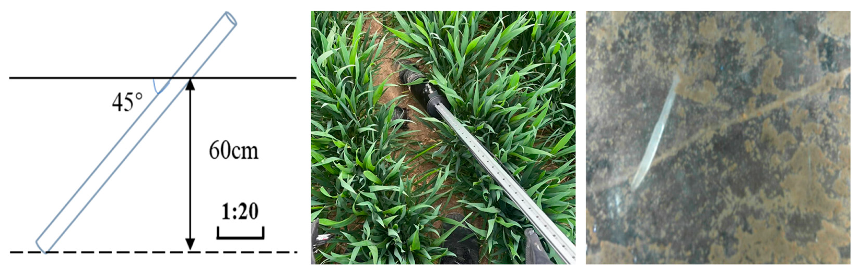 Agronomy 14 01247 g004