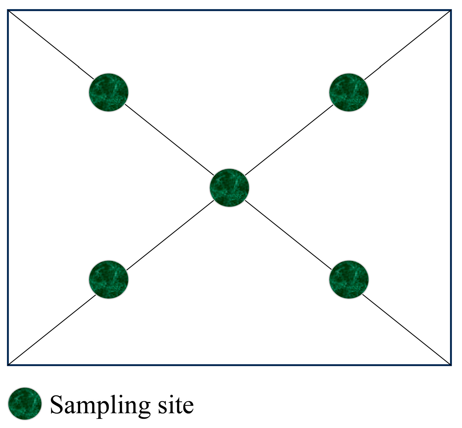 Agronomy 14 01248 g003