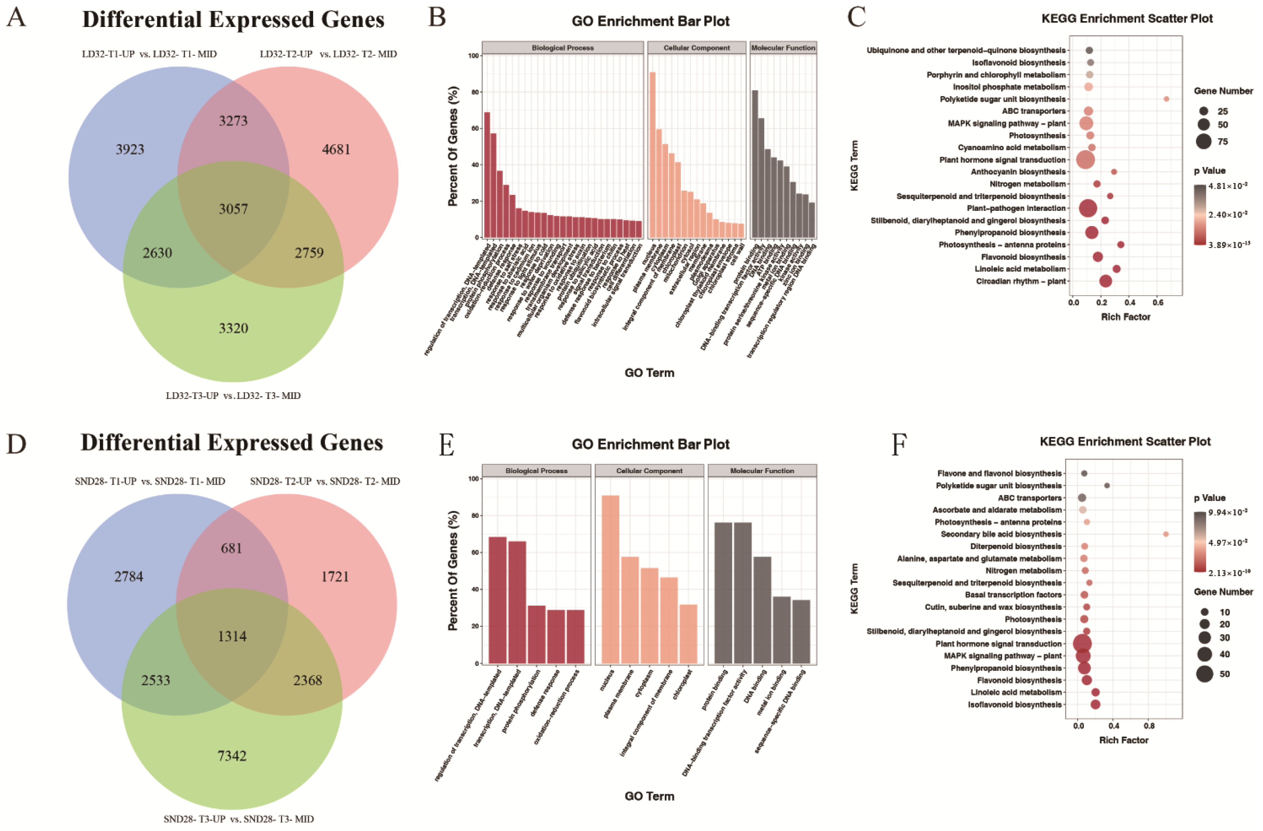 Agronomy 14 01250 g004