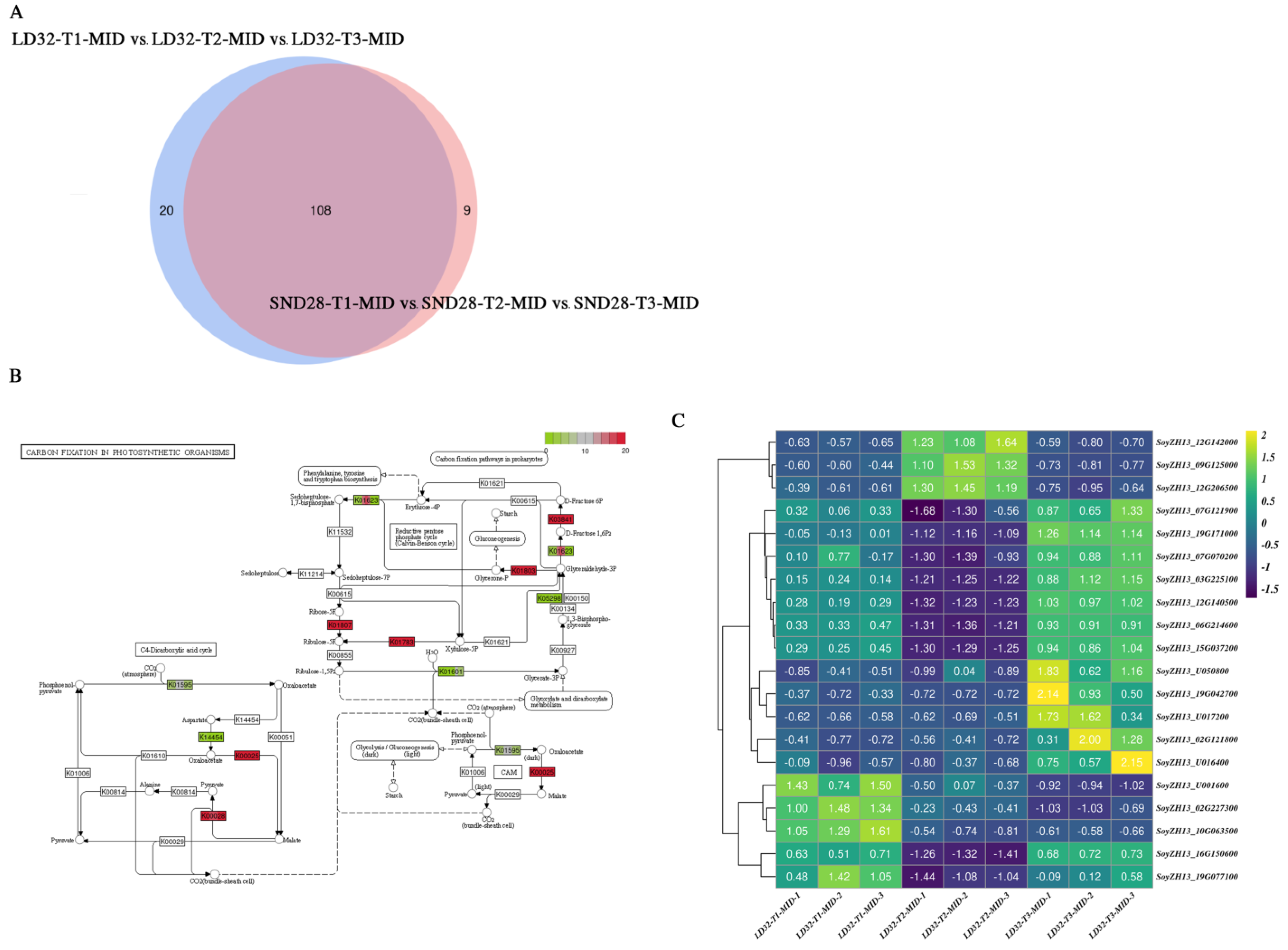 Agronomy 14 01250 g007