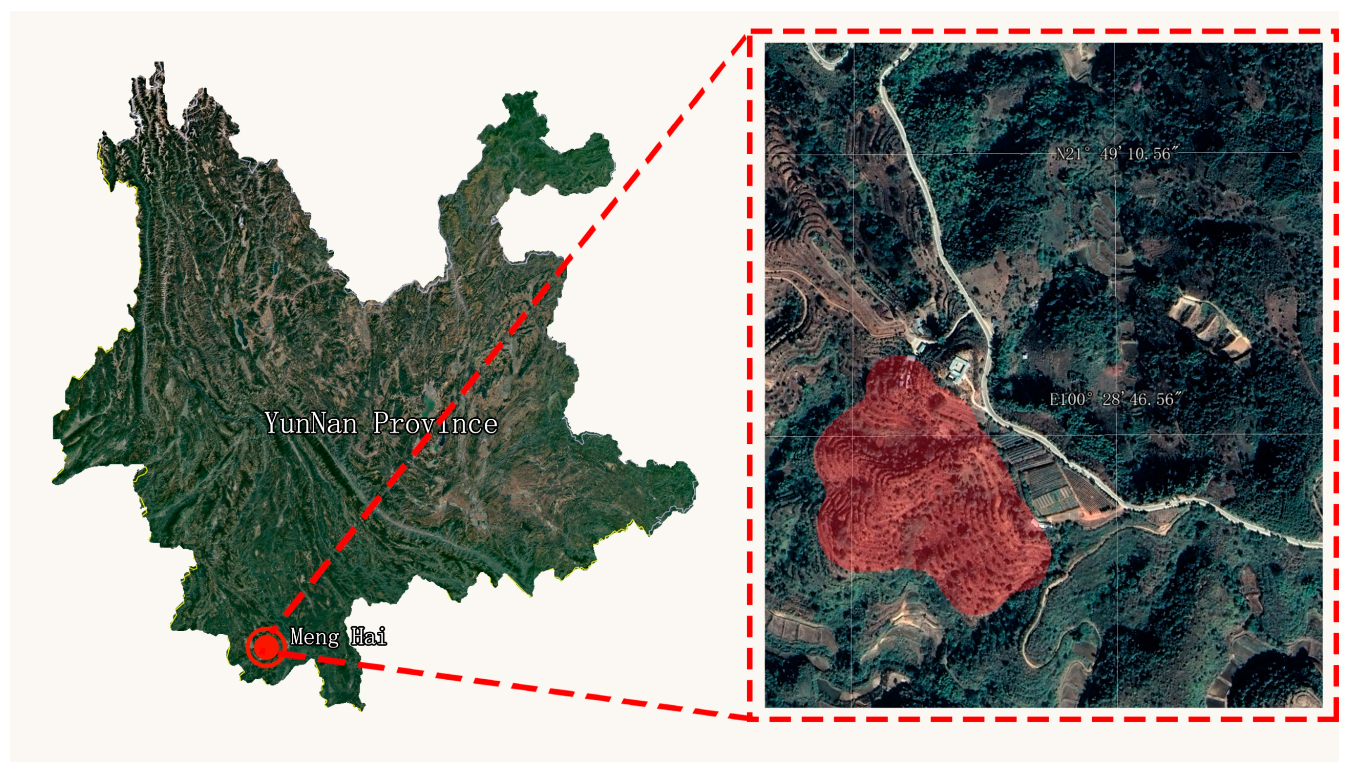 Agronomy 14 01251 g001