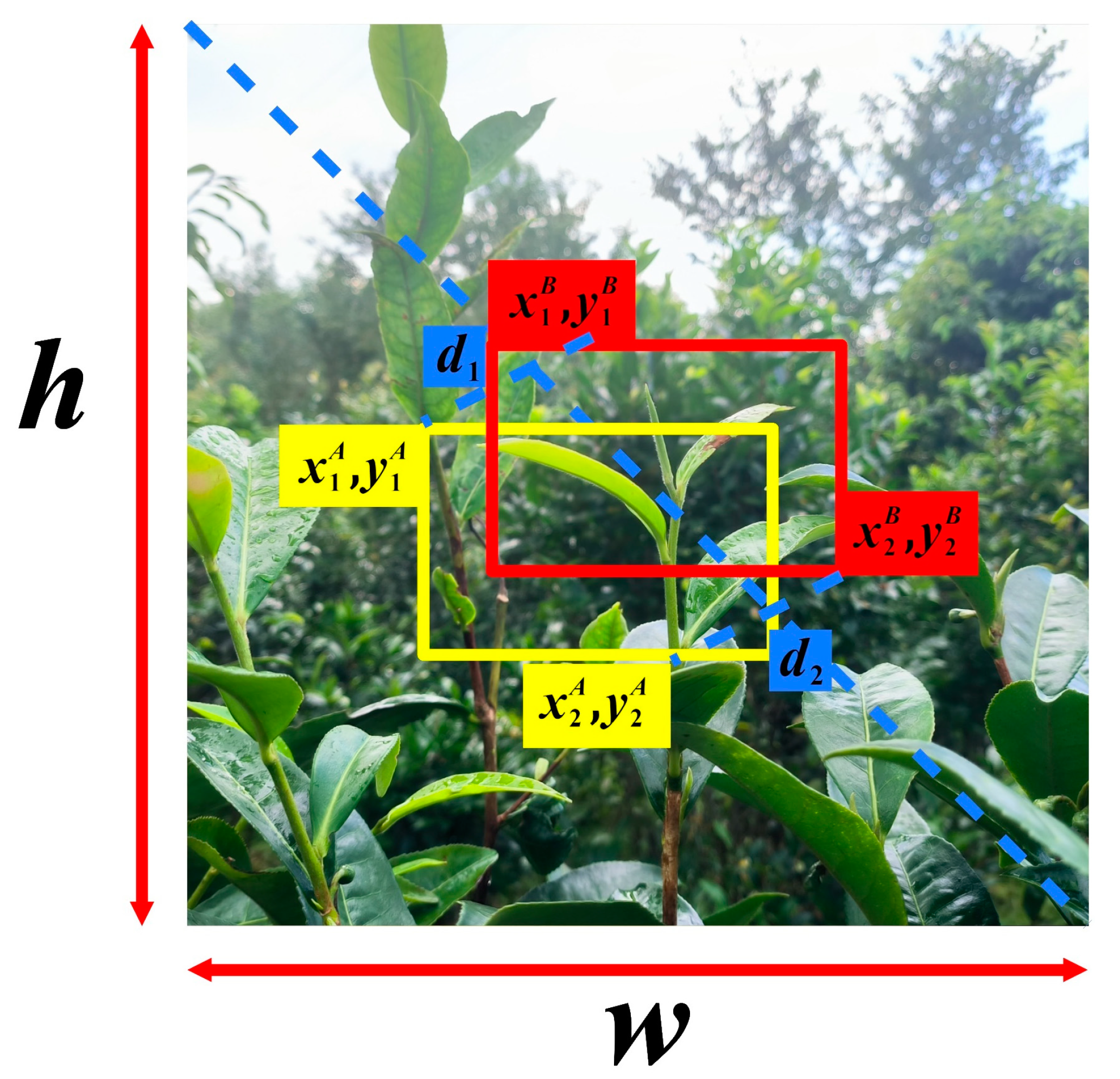Agronomy 14 01251 g008