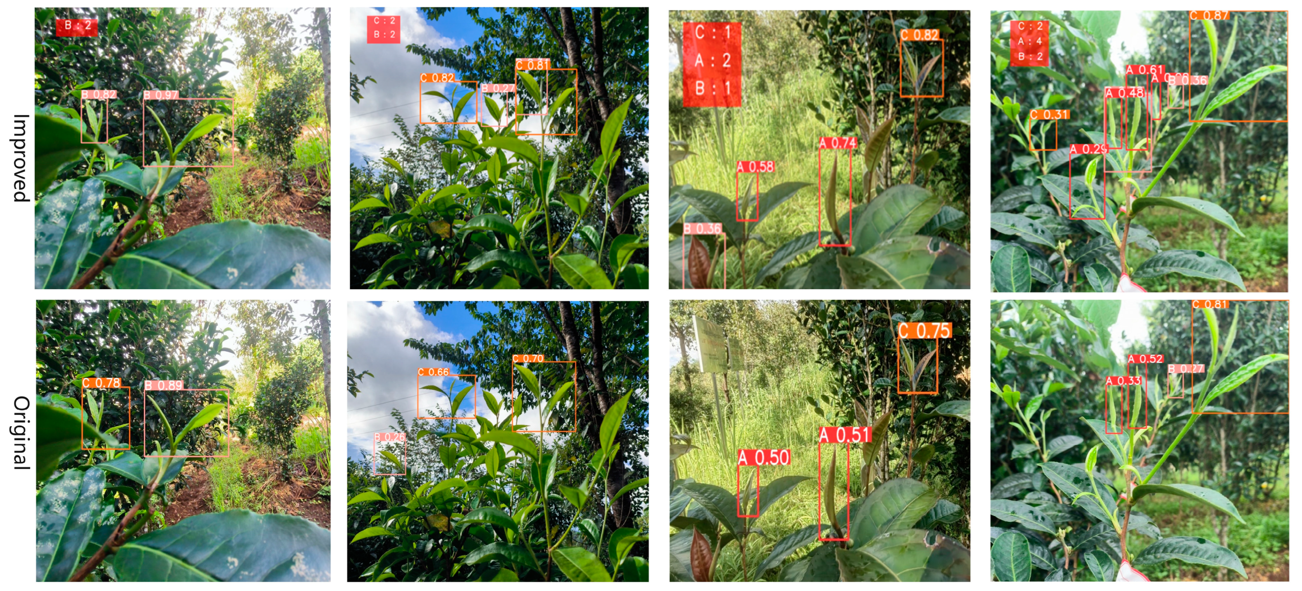 Agronomy 14 01251 g010