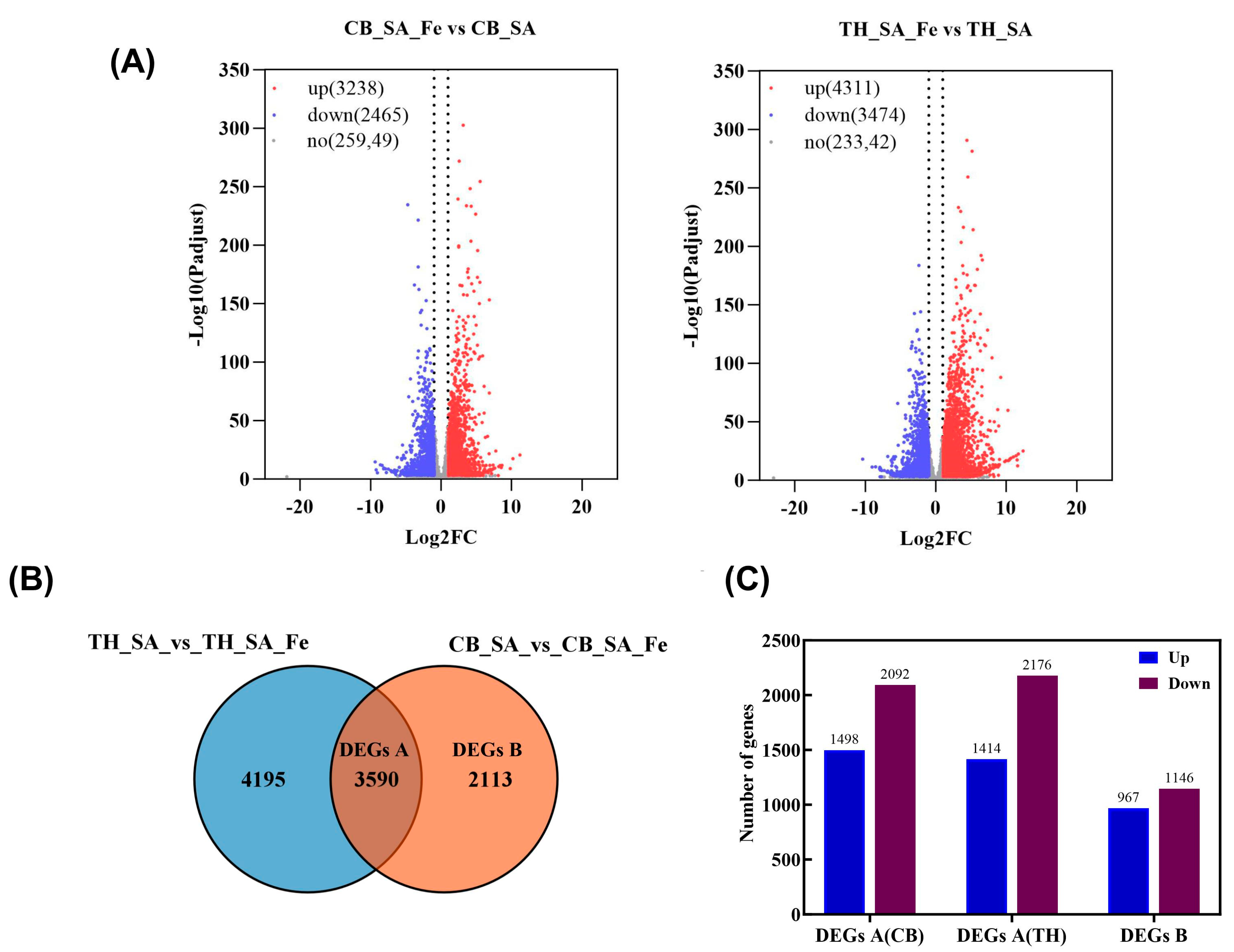 Agronomy 14 01253 g003