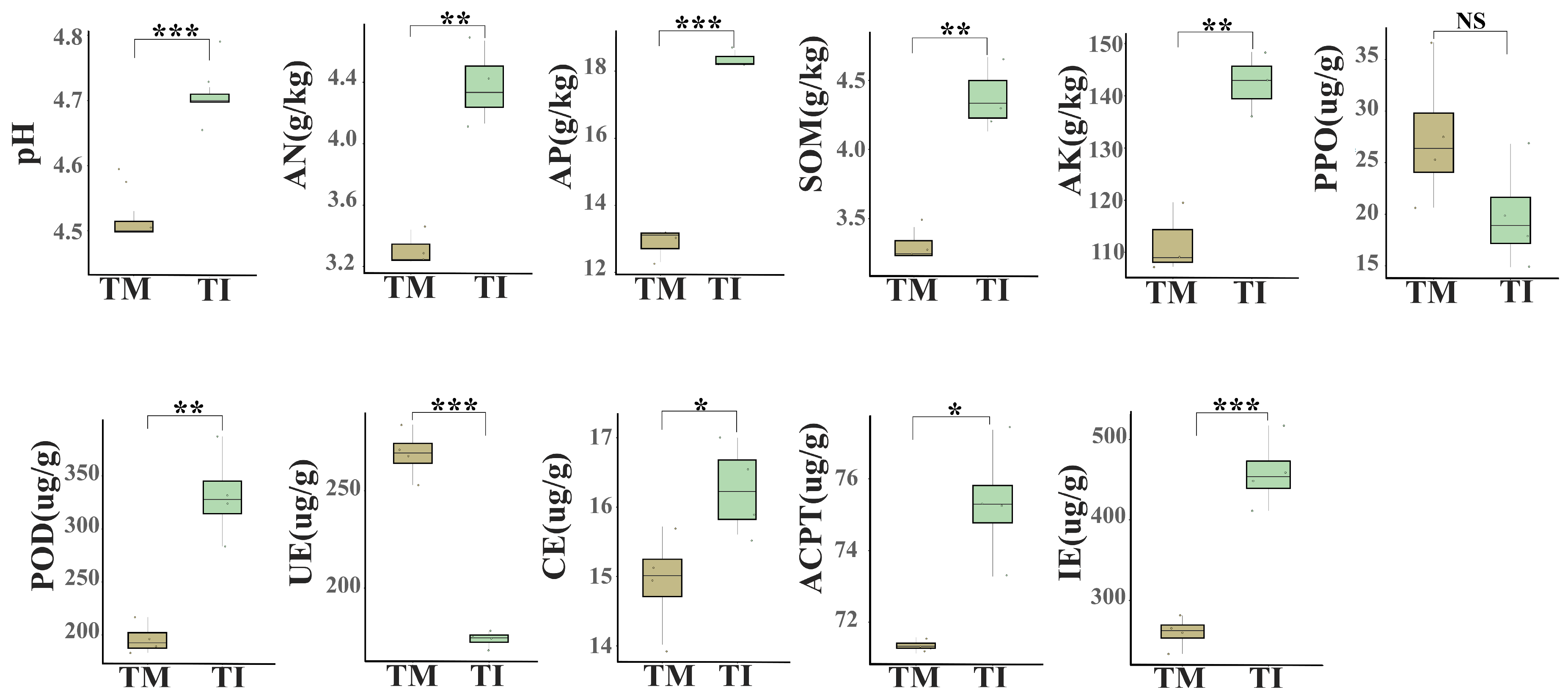Agronomy 14 01261 g001