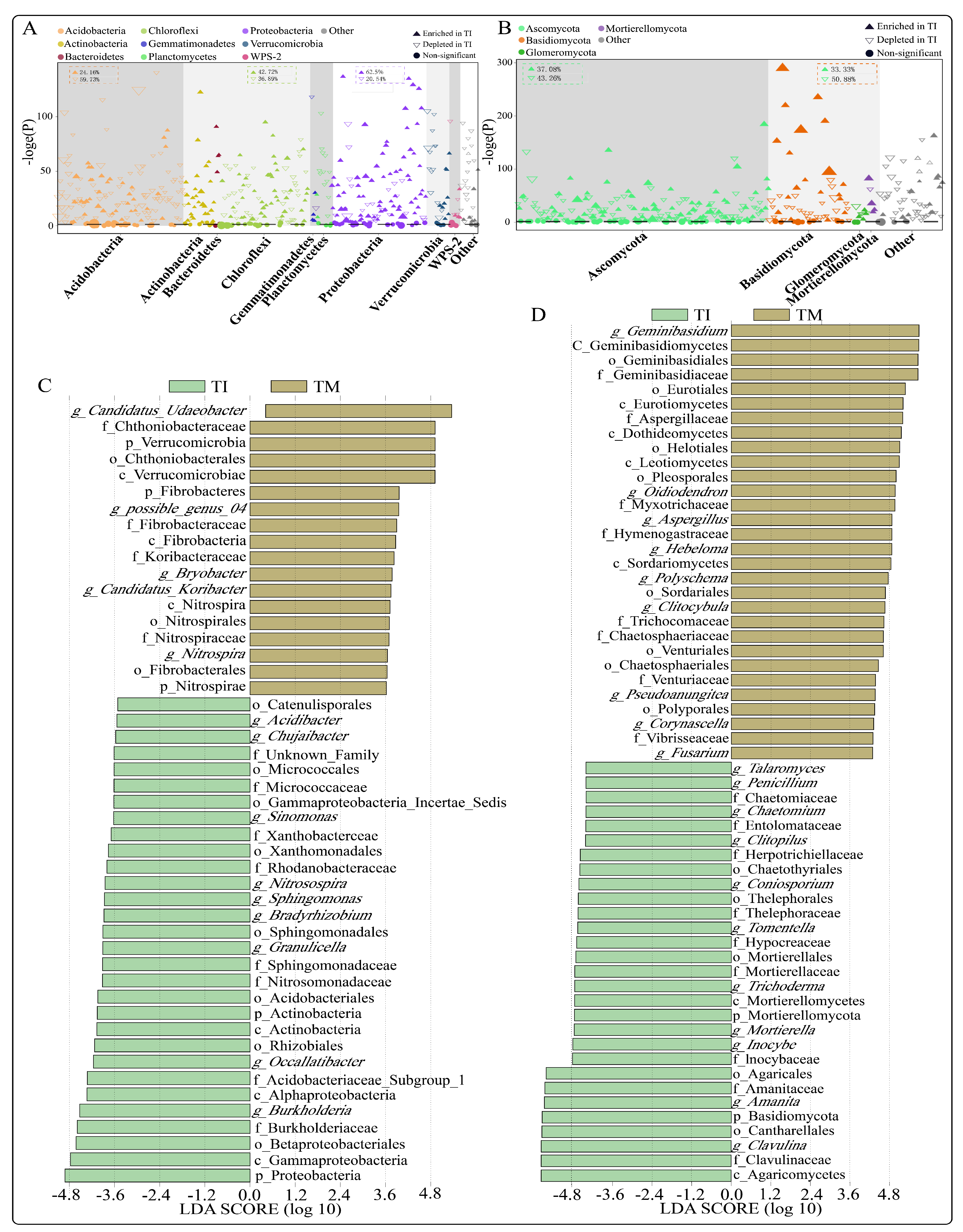 Agronomy 14 01261 g004