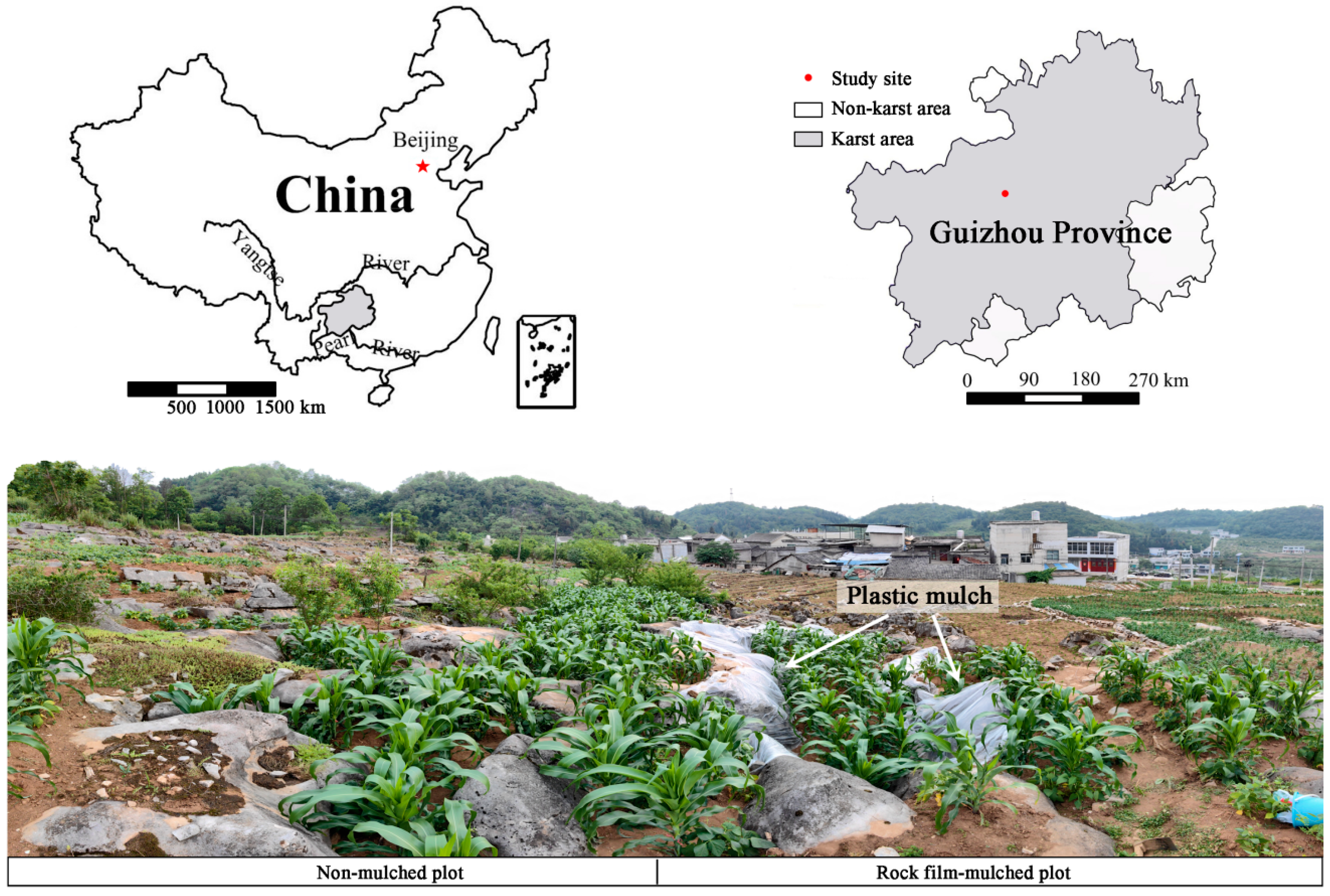 Agronomy 14 01265 g001