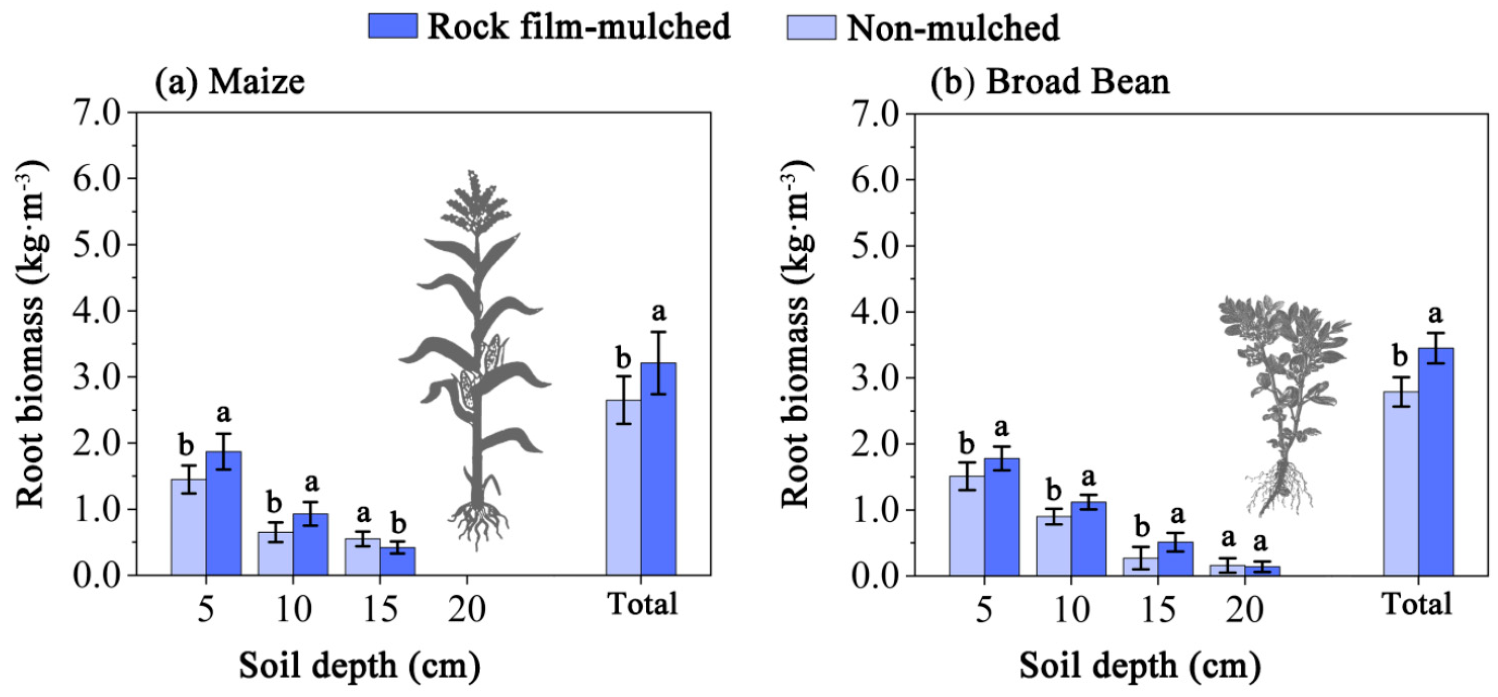 Agronomy 14 01265 g007