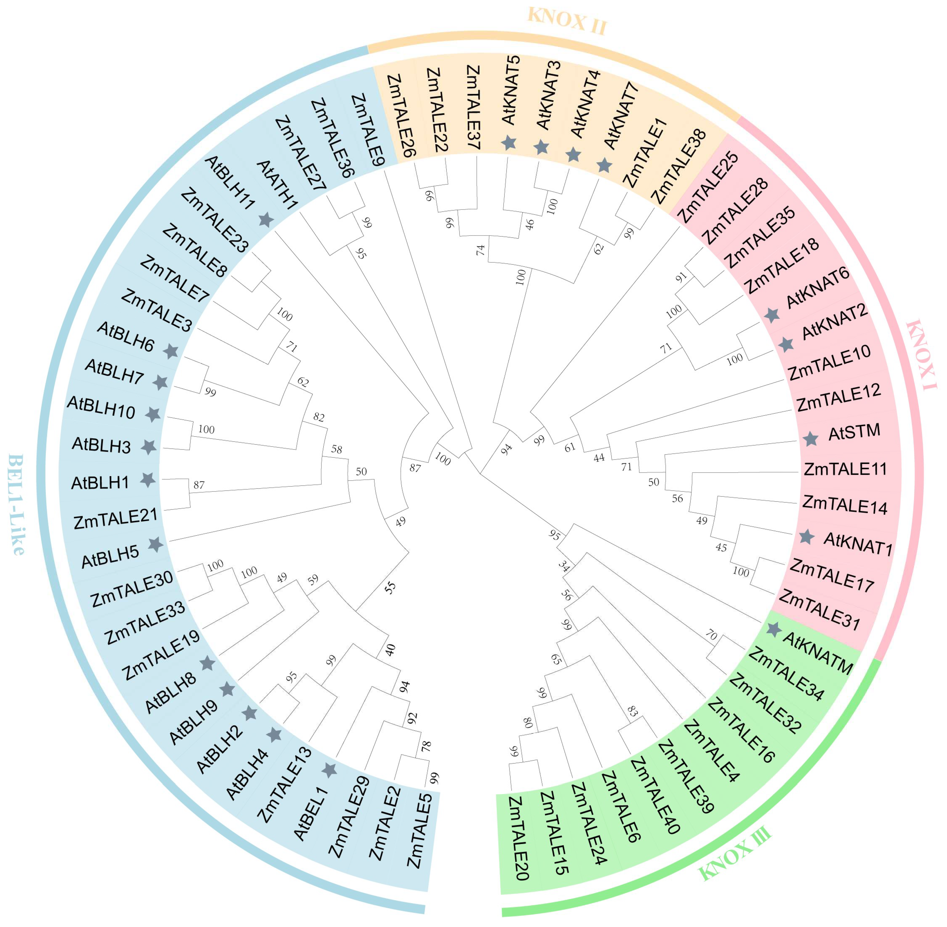 Agronomy 14 01267 g002