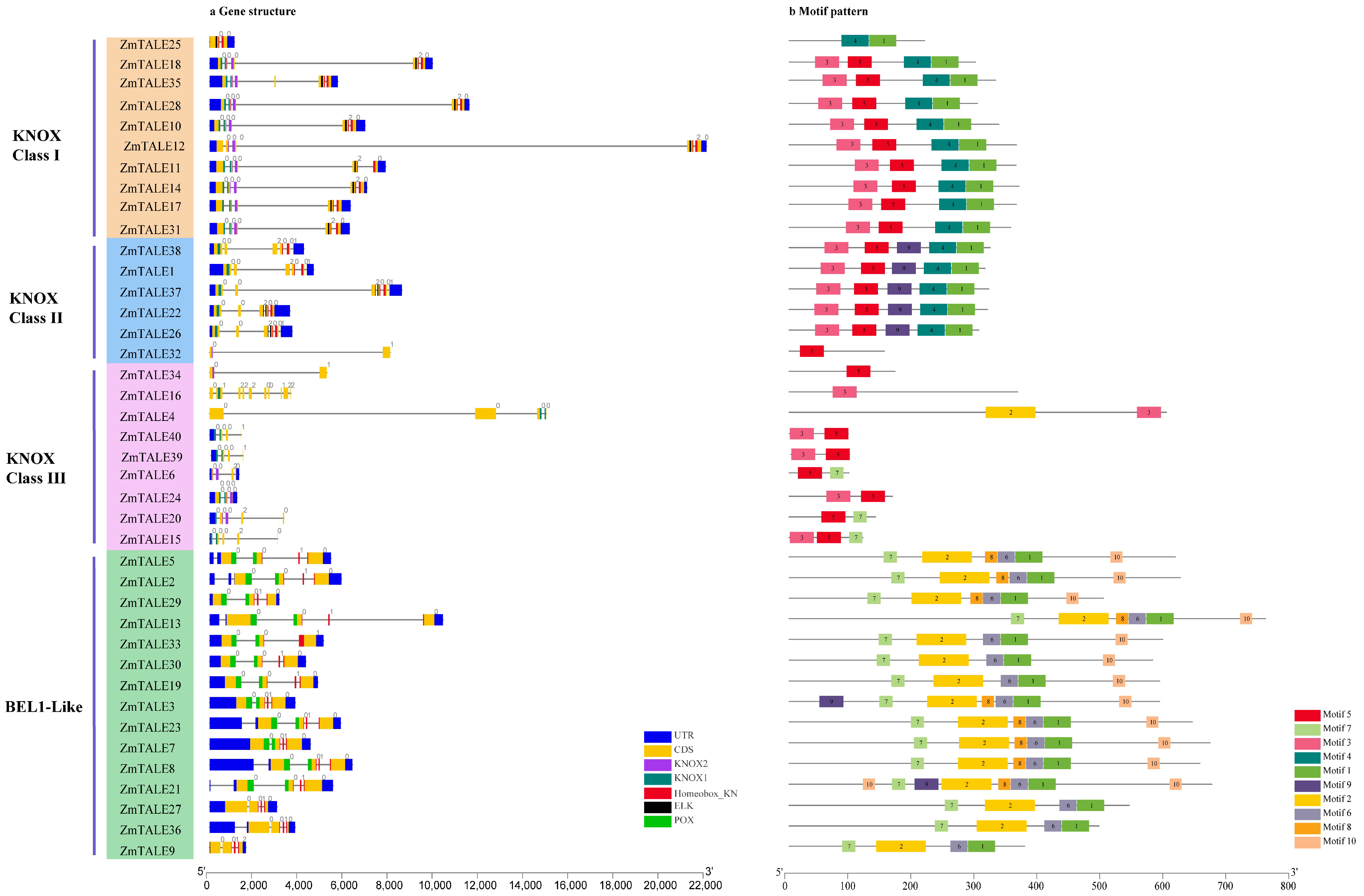 Agronomy 14 01267 g003