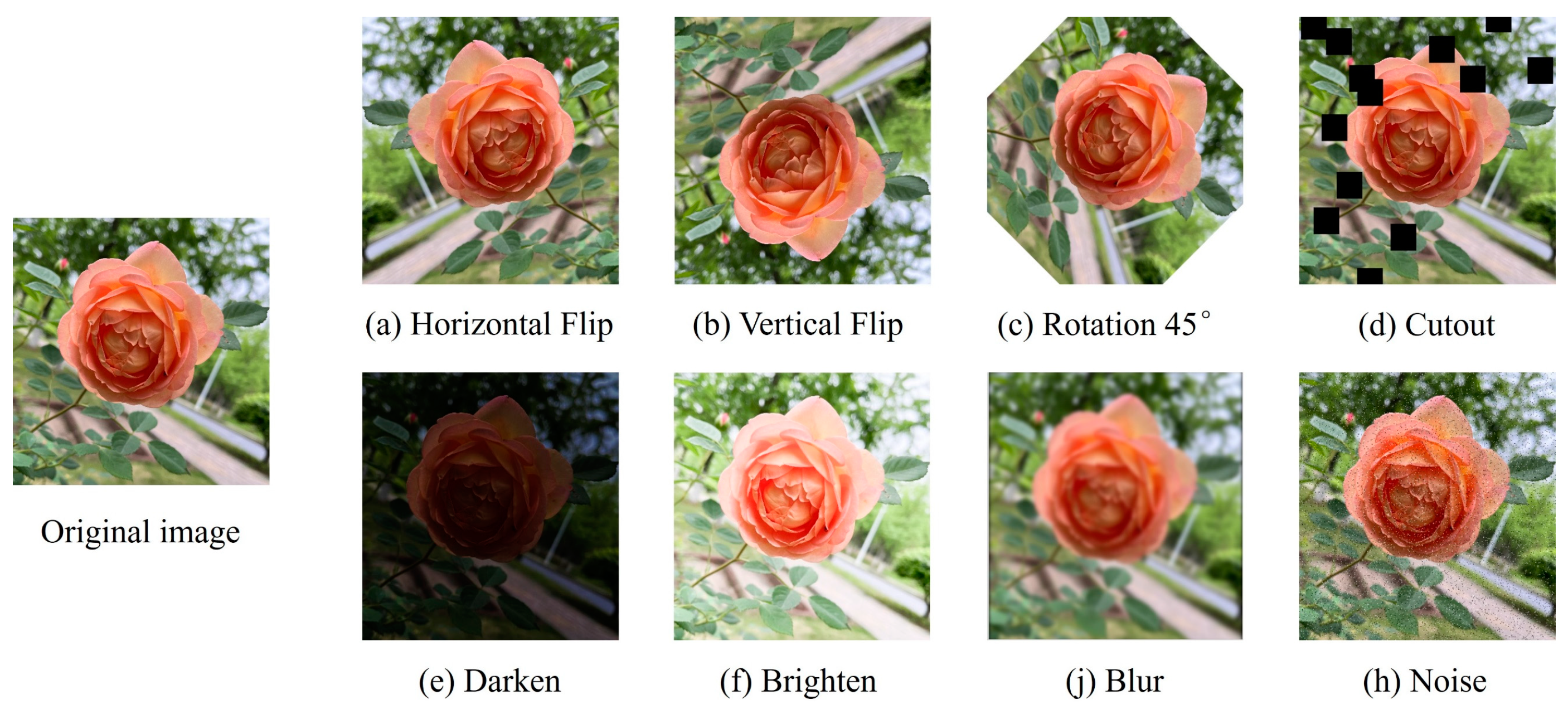 Agronomy 14 01285 g003