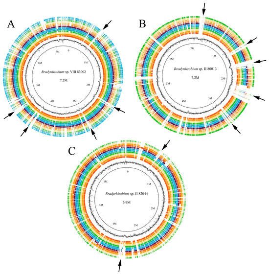 JJ Nodulating Aeschynomene indica without Nod Factor Synthesis