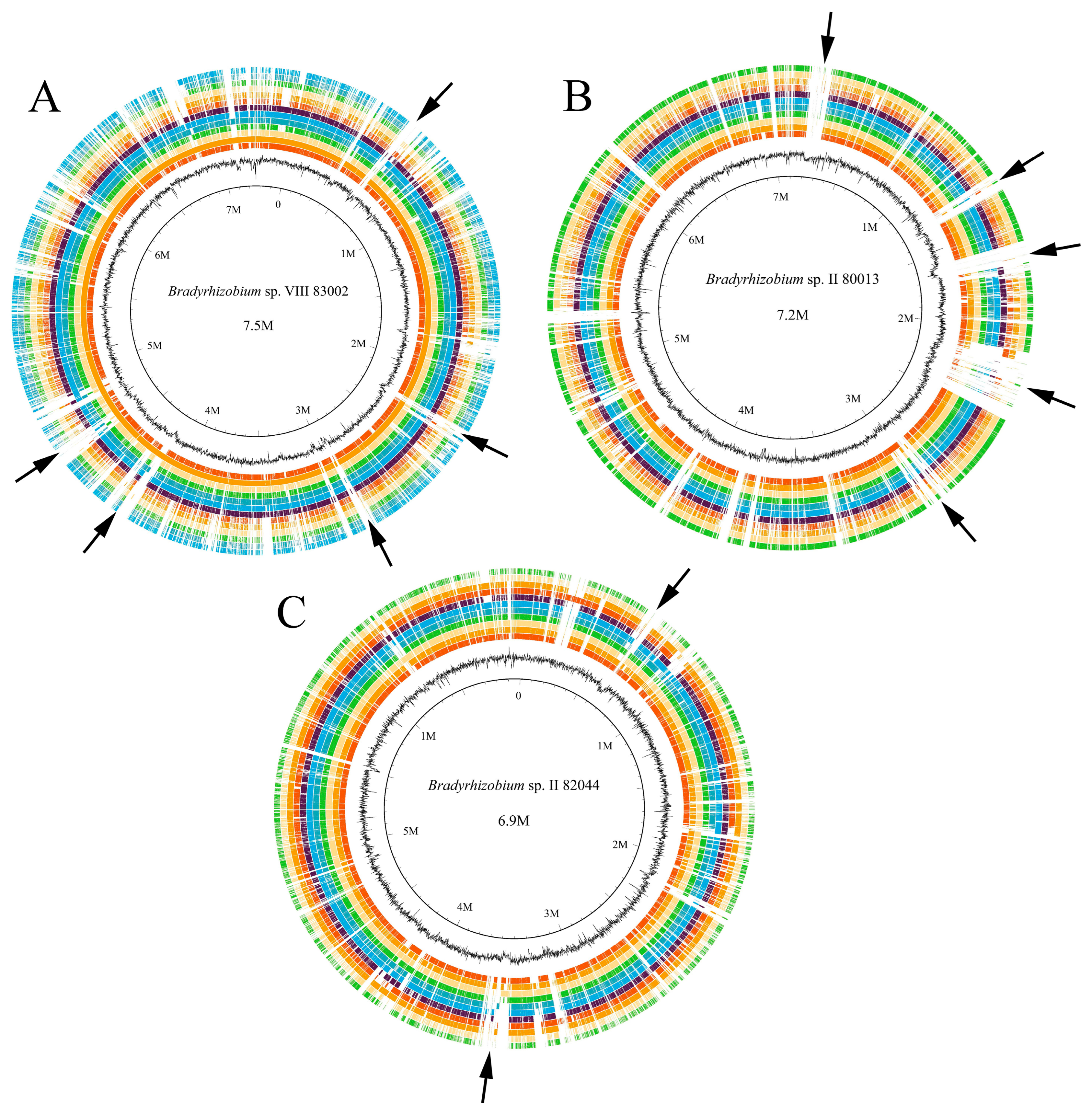 Agronomy 14 01295 g002