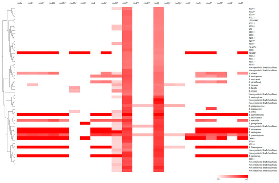y Optimizing Phosphorus Fertilization Management Is Conducive