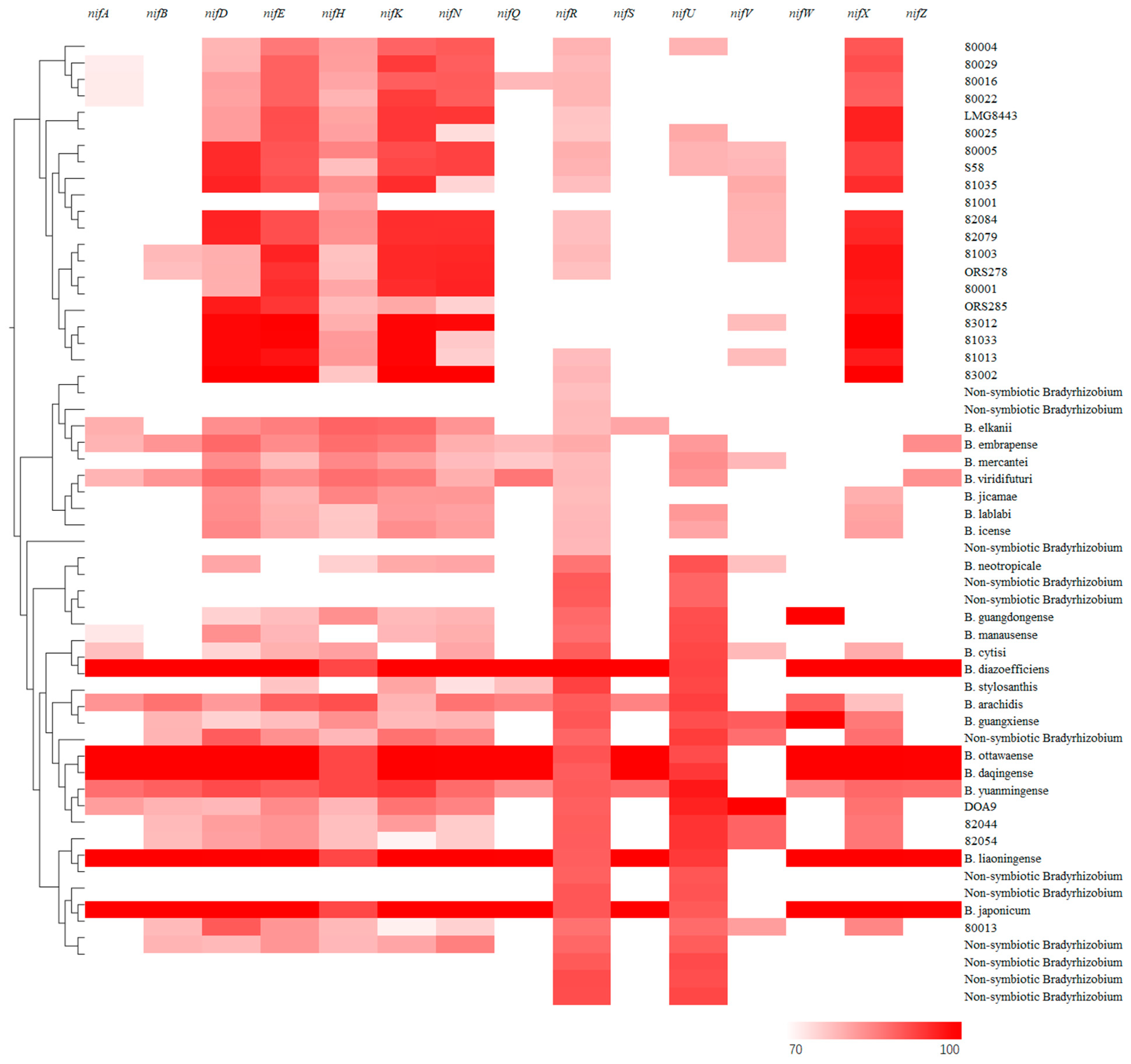 Agronomy 14 01295 g004