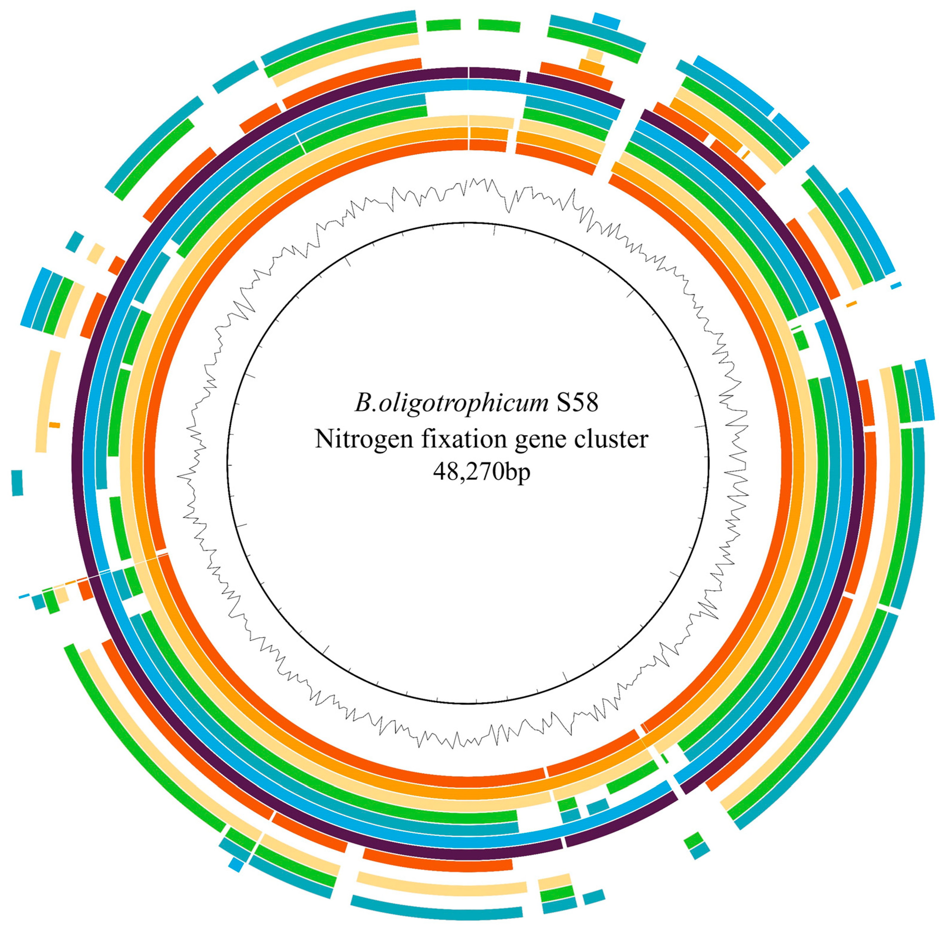 Agronomy 14 01295 g006