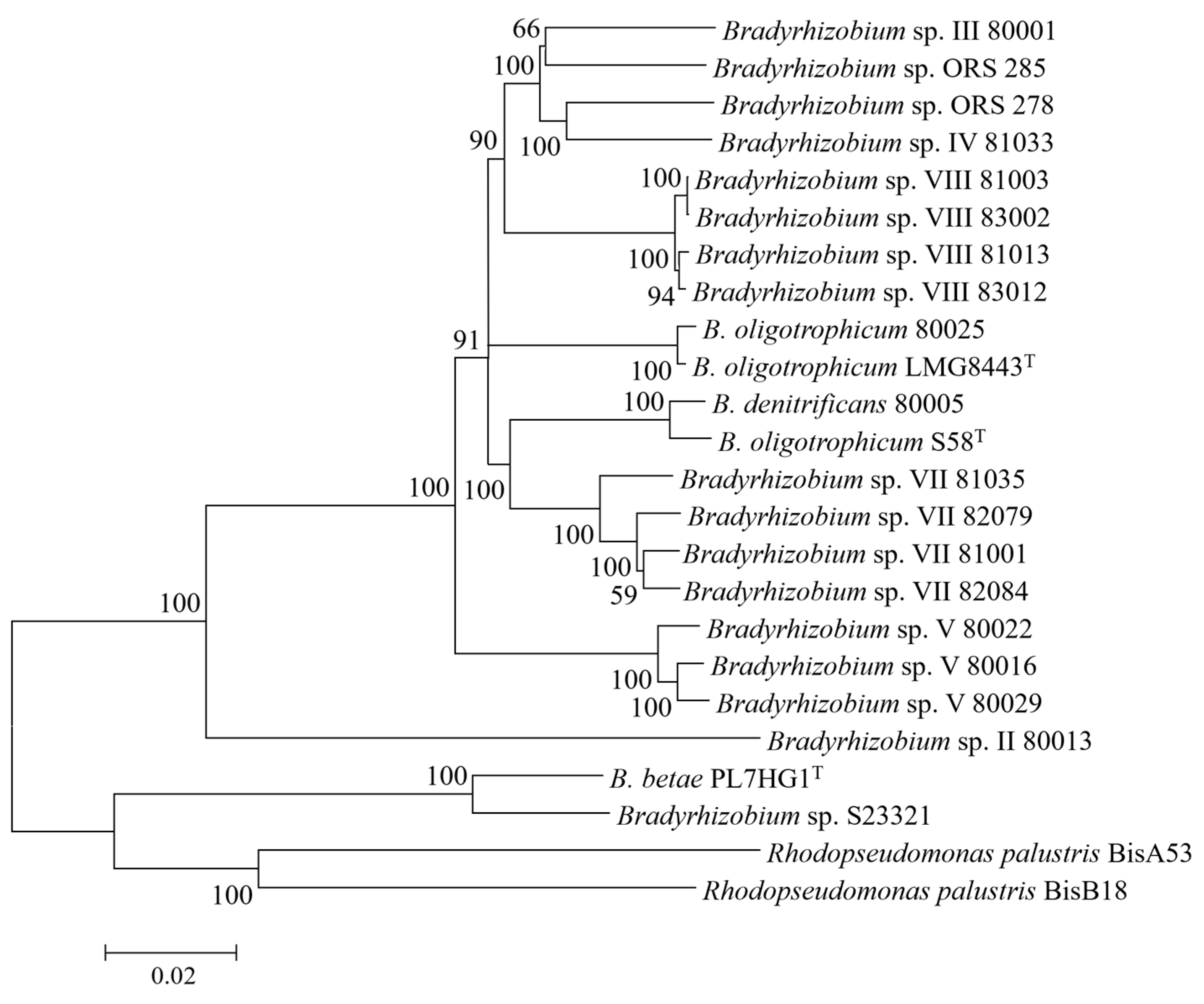 Agronomy 14 01295 g008