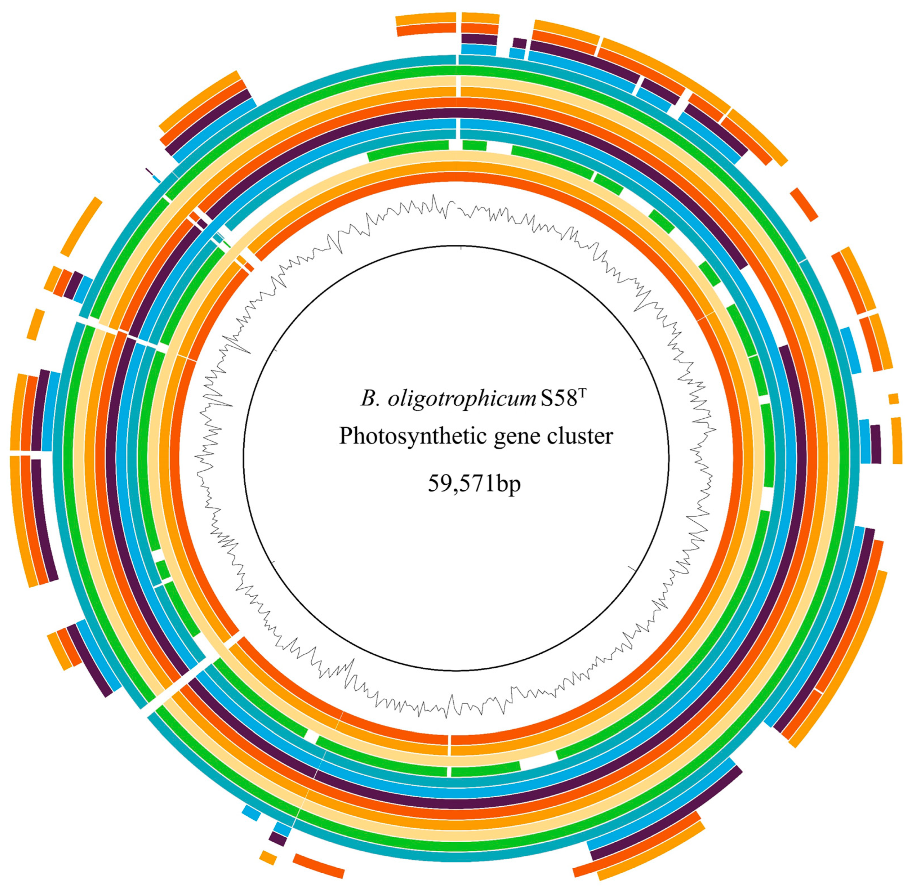 Agronomy 14 01295 g009