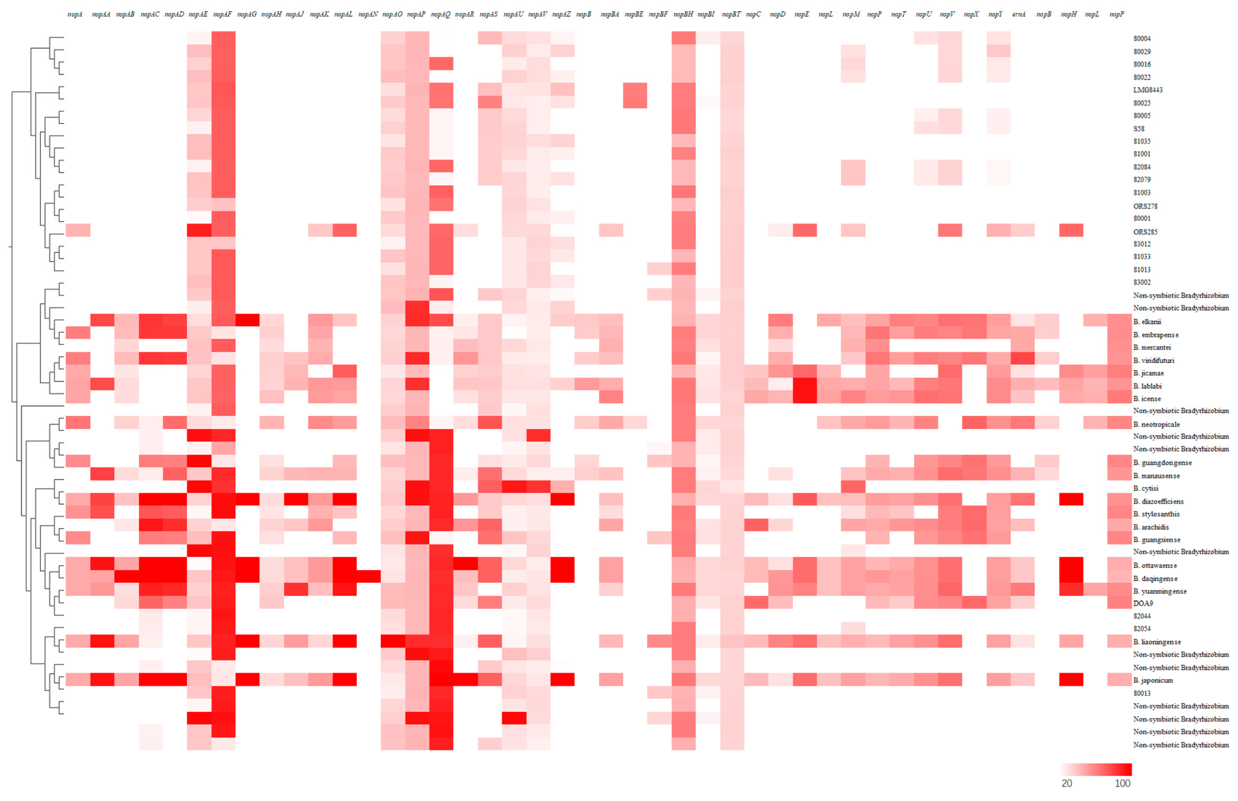 Agronomy 14 01295 g011