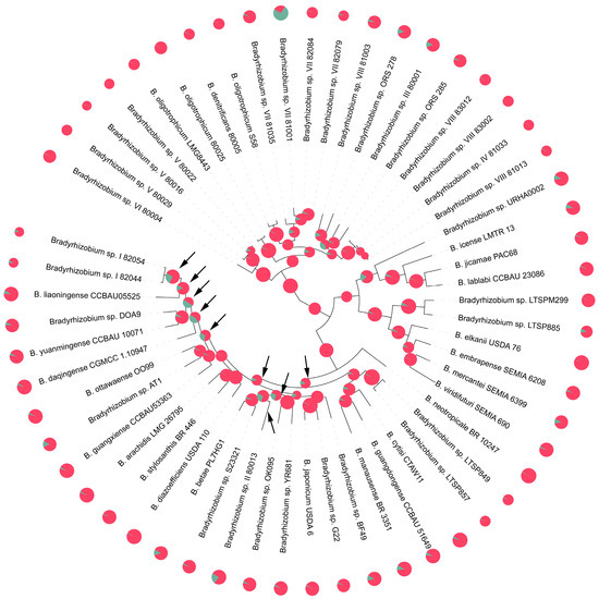 Integrated Multi-Omics Analysis of Cerebrospinal Fluid in