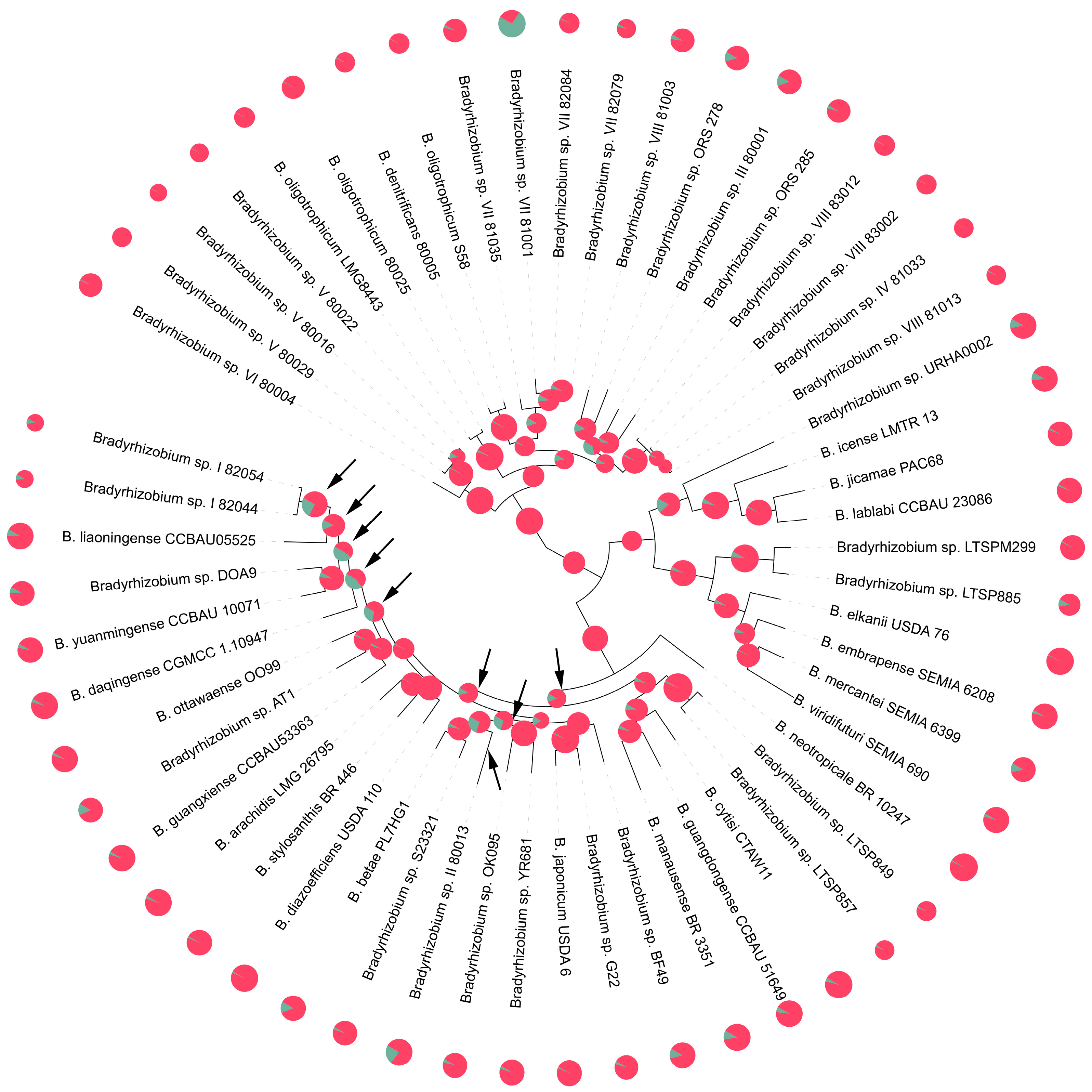 Agronomy 14 01295 g012