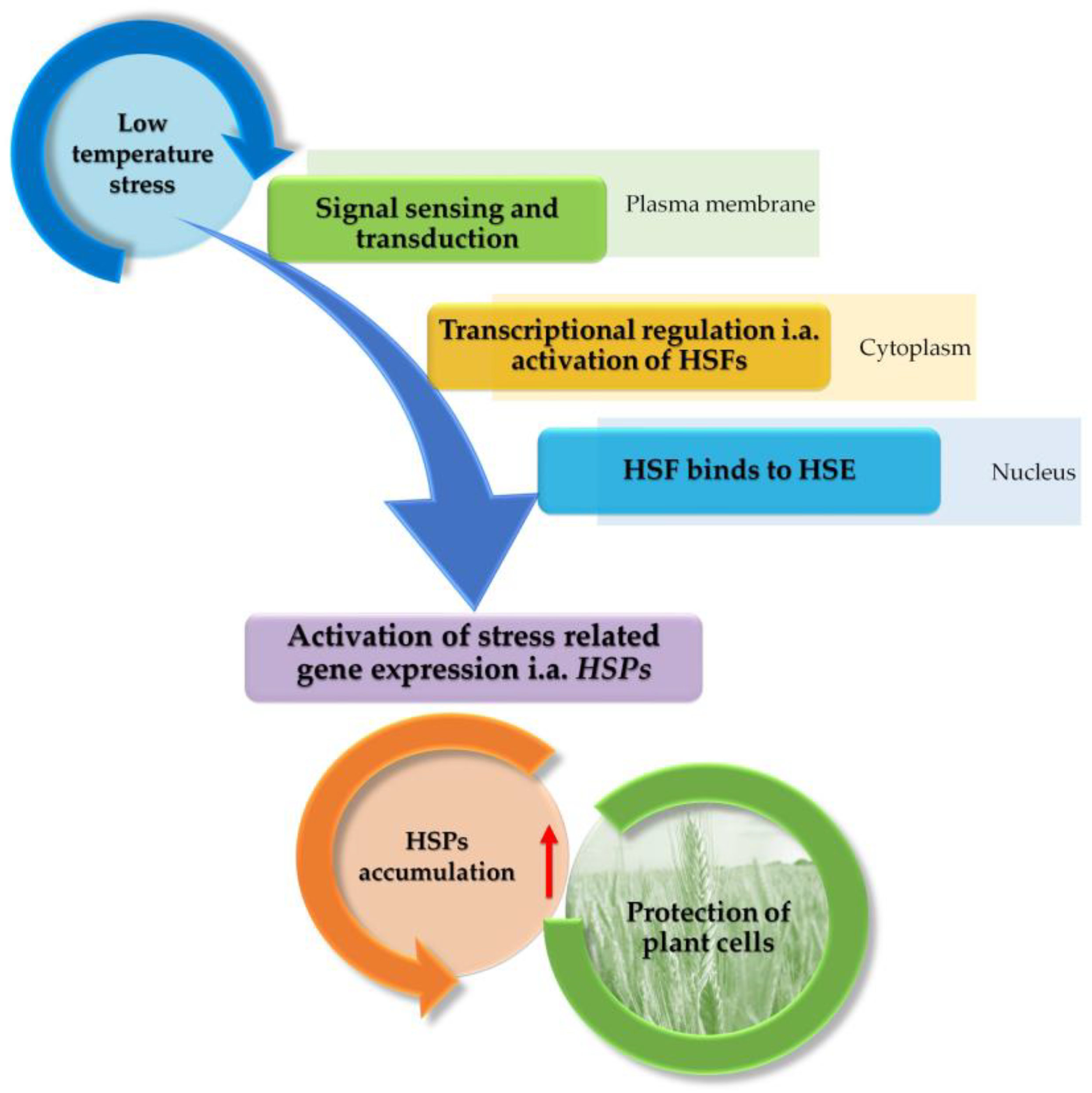 Agronomy 14 01296 g002 Agronomy 14 01296 g002