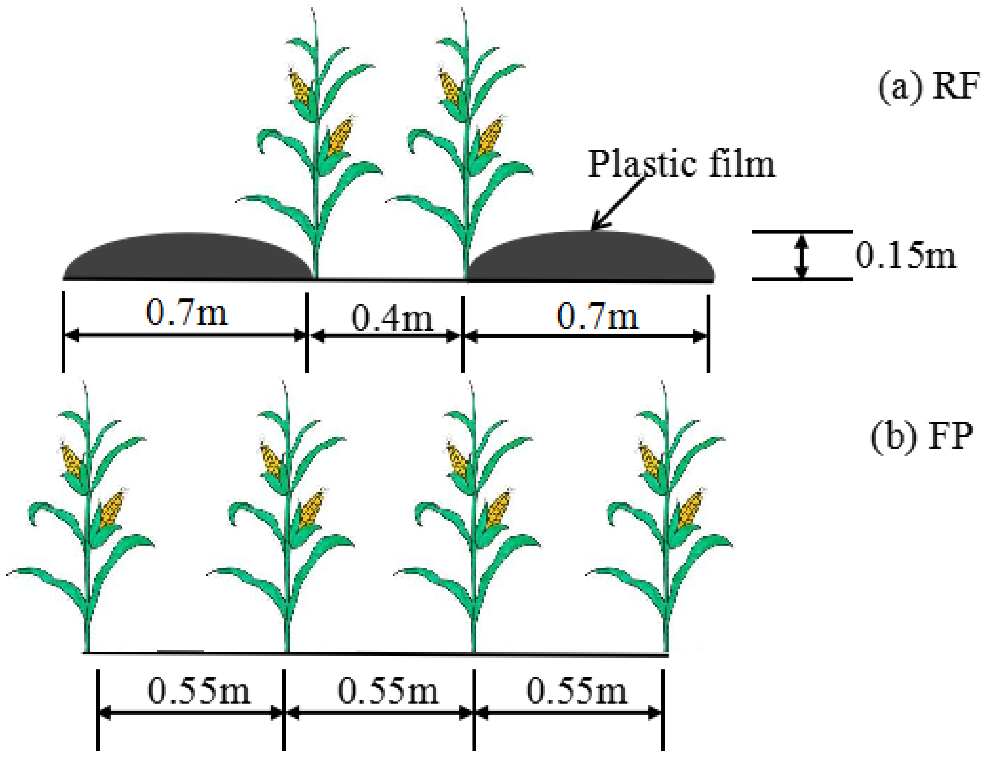 Agronomy 14 01298 g002